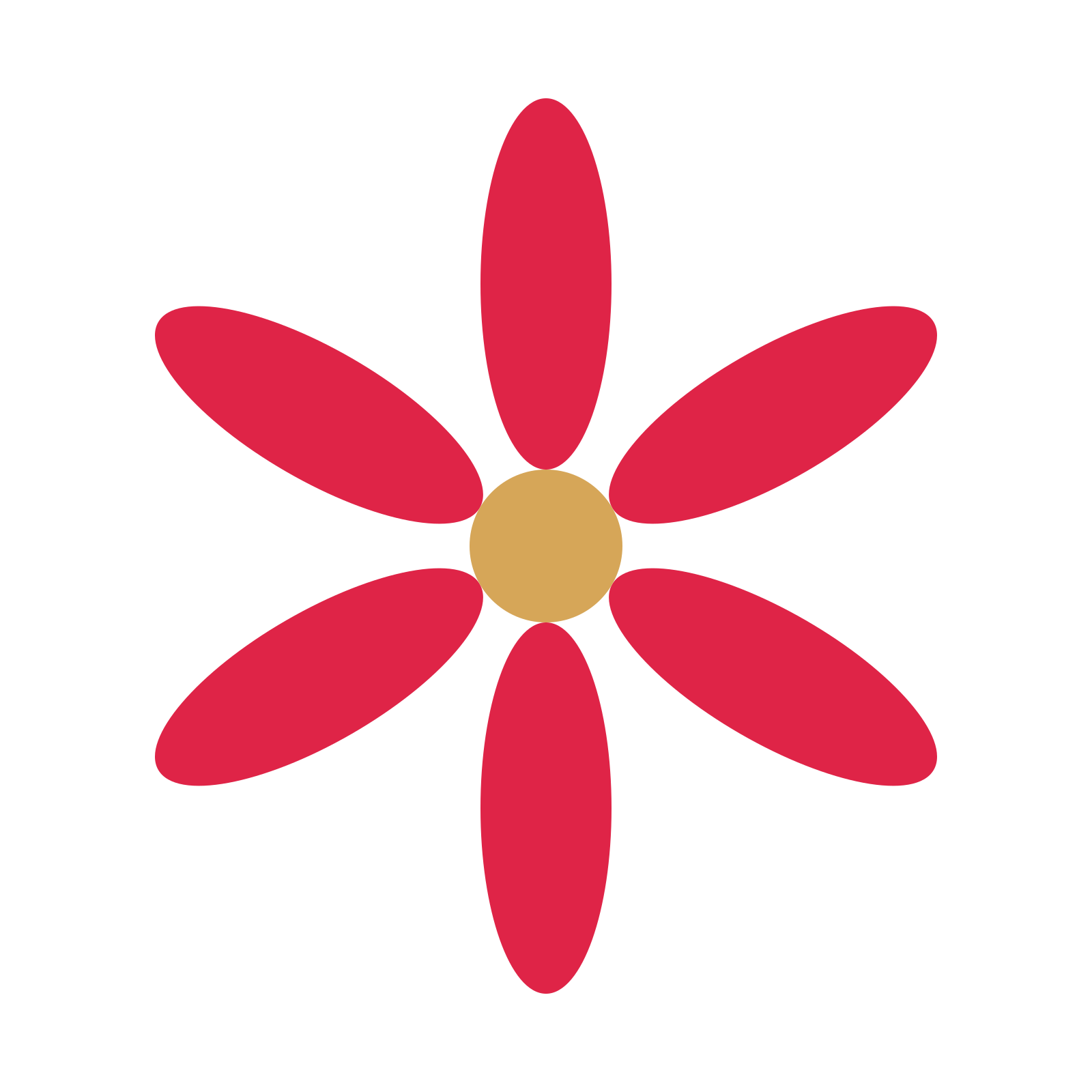 A 6-petal daisy flower with a seed centre and a transparent background.