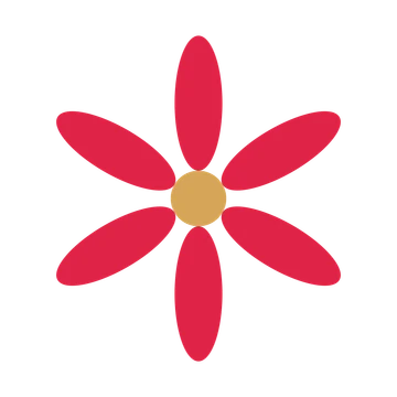 A 6-petal daisy flower with a seed centre and a transparent background.