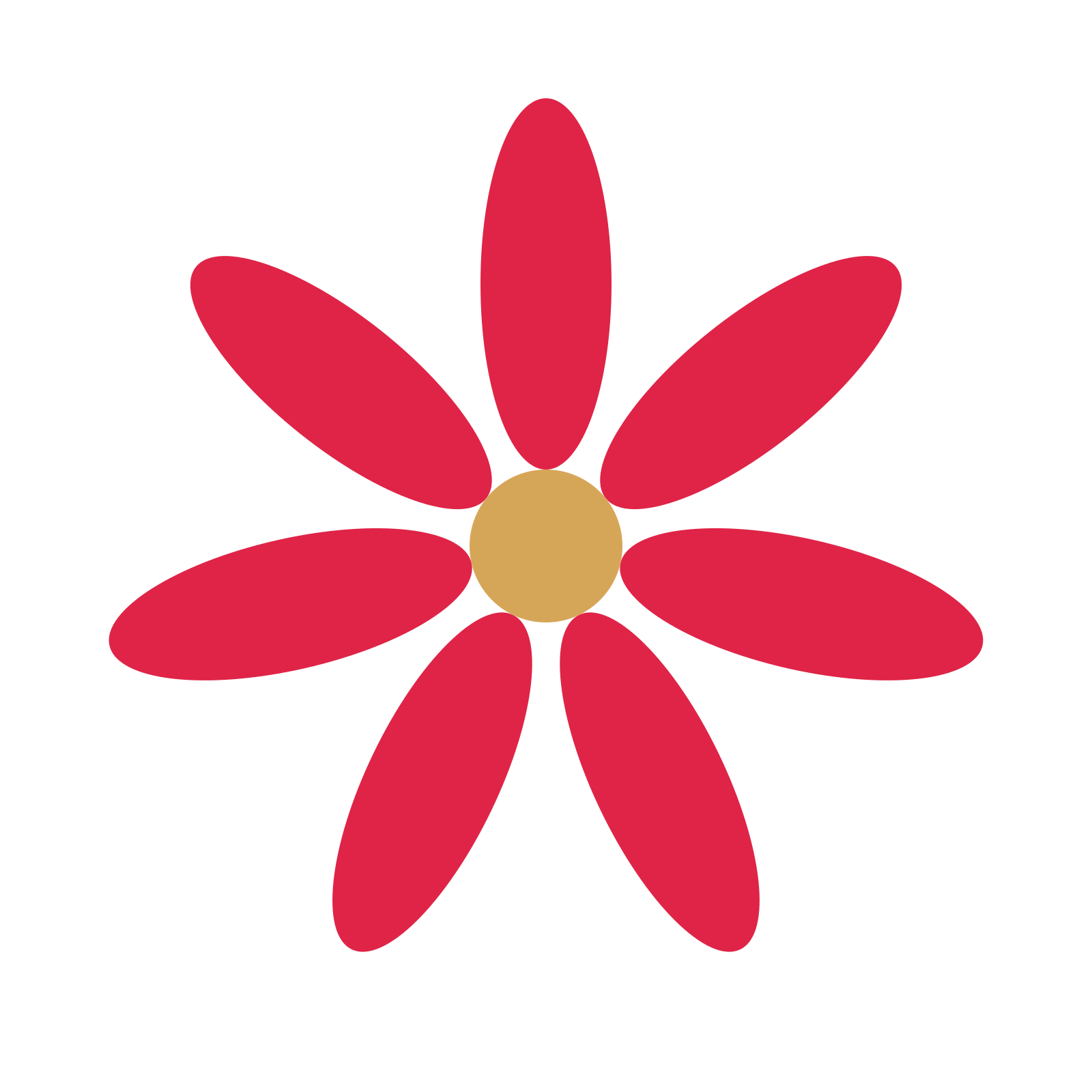 A 7-petal daisy flower with a seed centre and a transparent background.