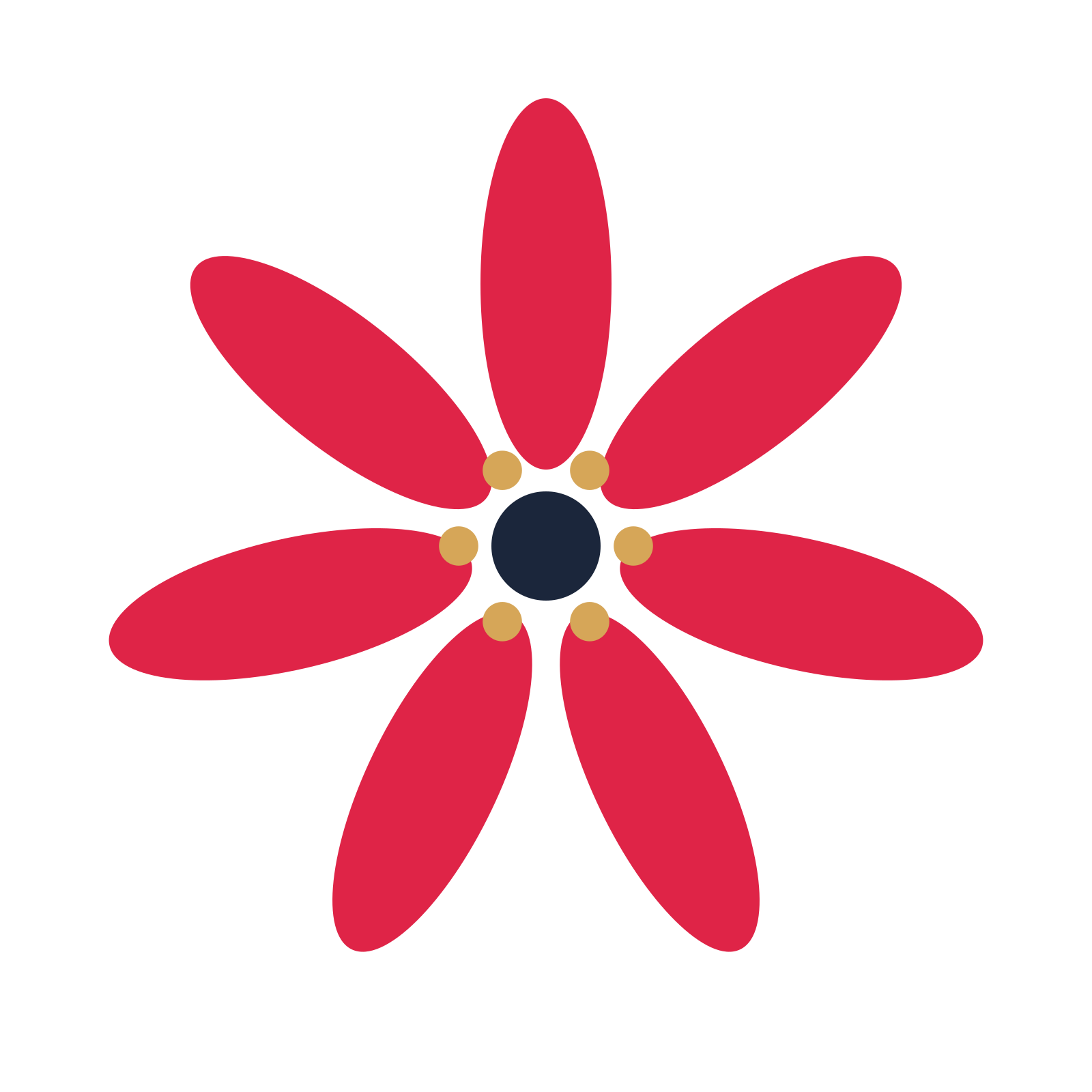 A 7-petal daisy flower with a stamen centre and a transparent background.