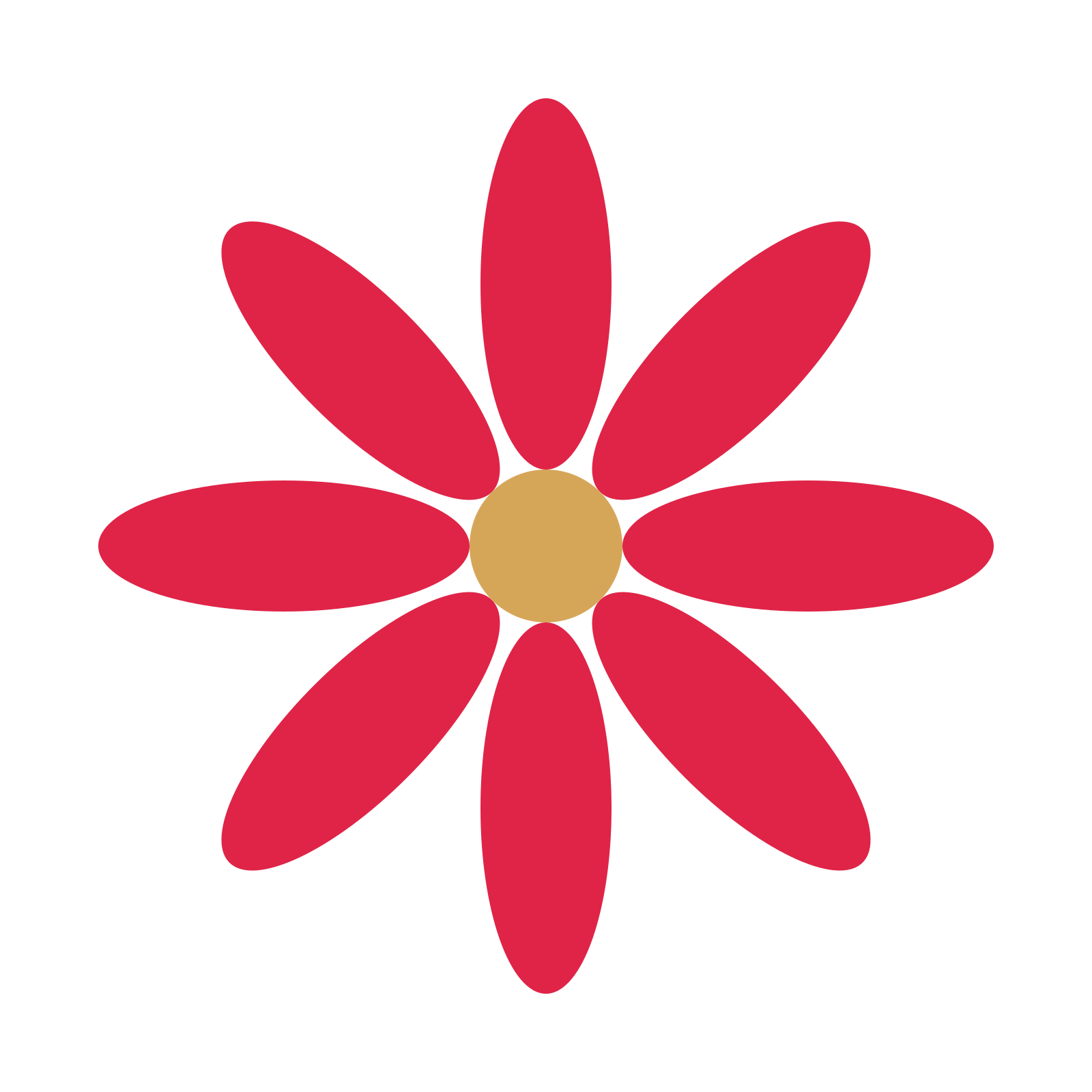 A 8-petal daisy flower with a seed centre and a transparent background.