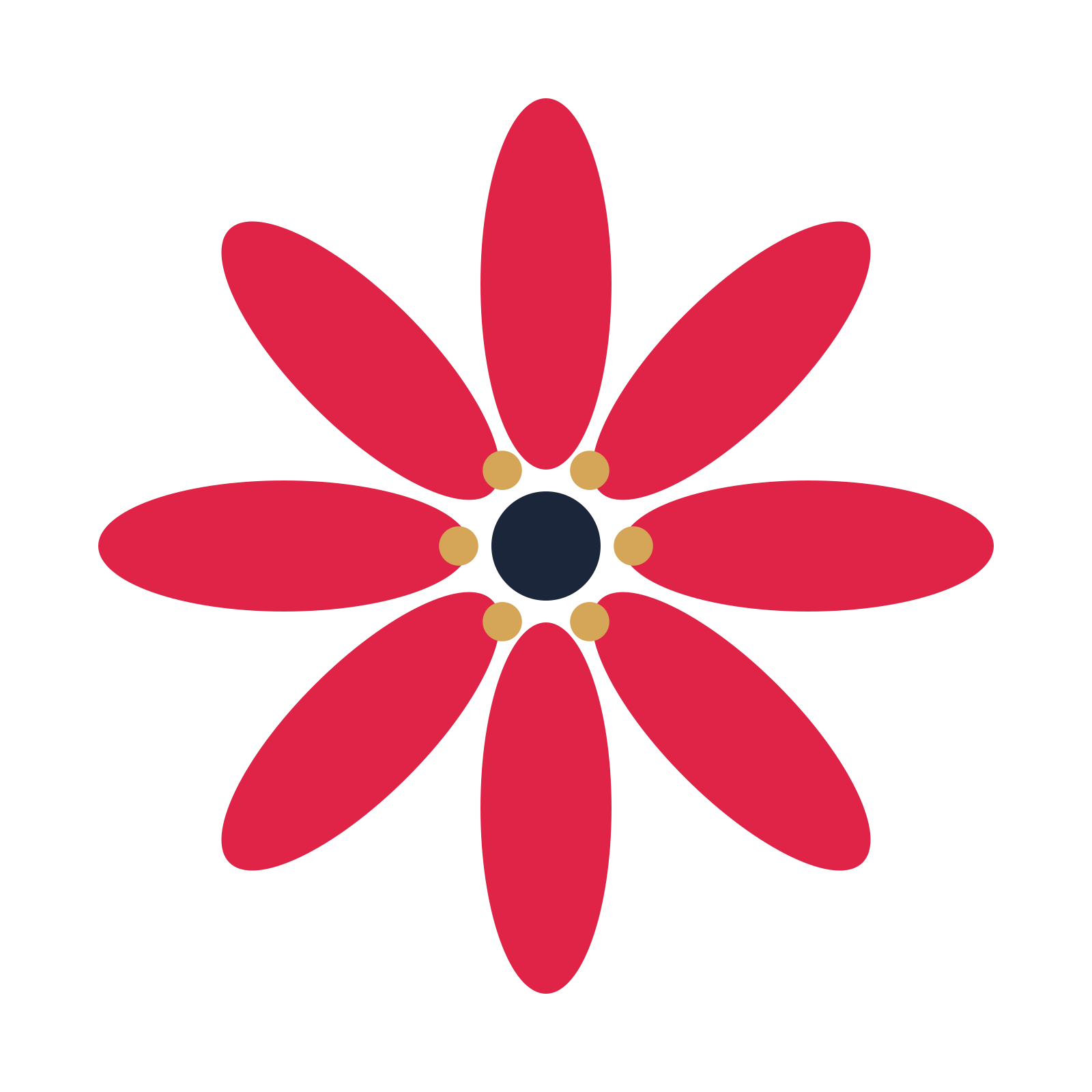 A 8-petal daisy flower with a stamen centre and a transparent background.