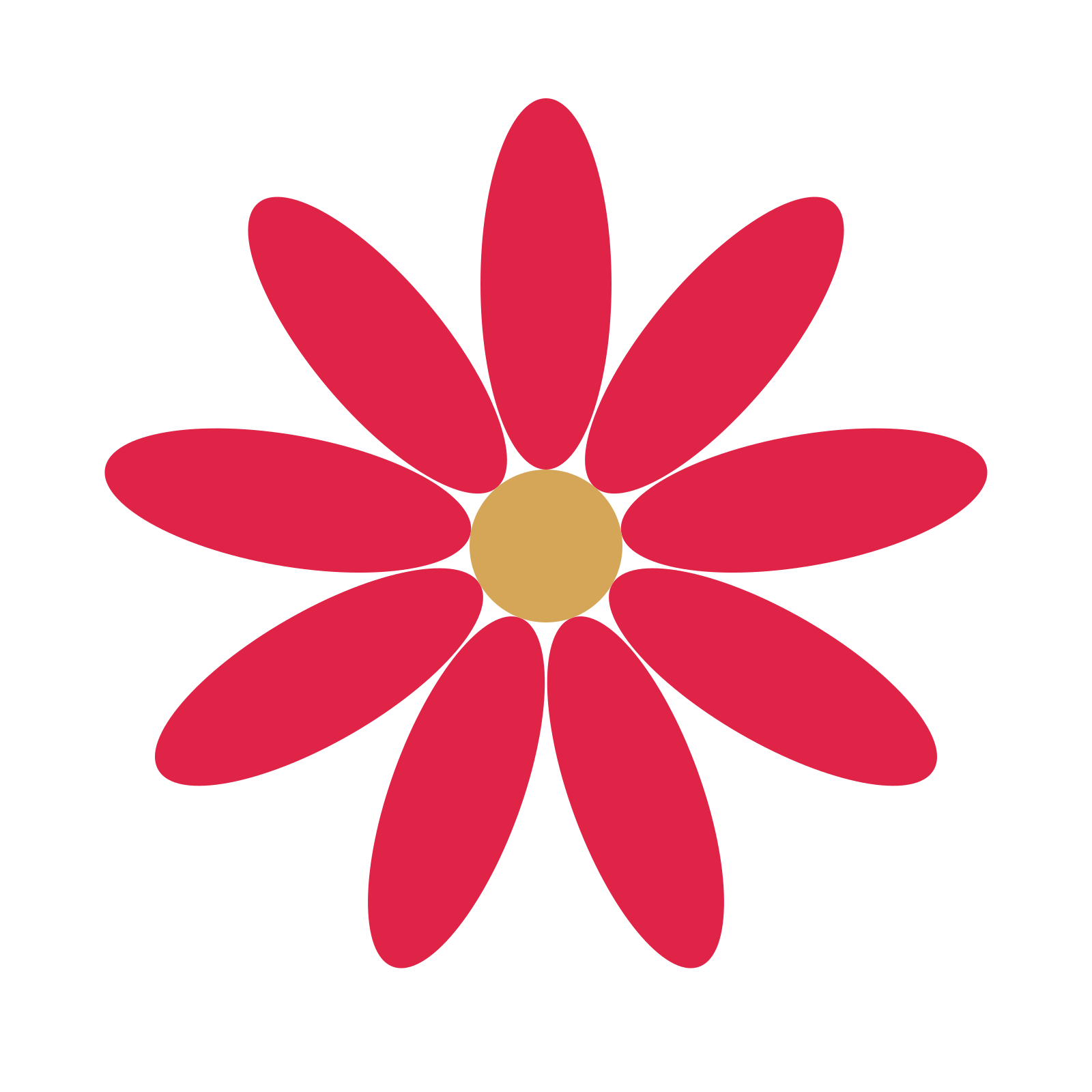 A 9-petal daisy flower with a seed centre and a transparent background.