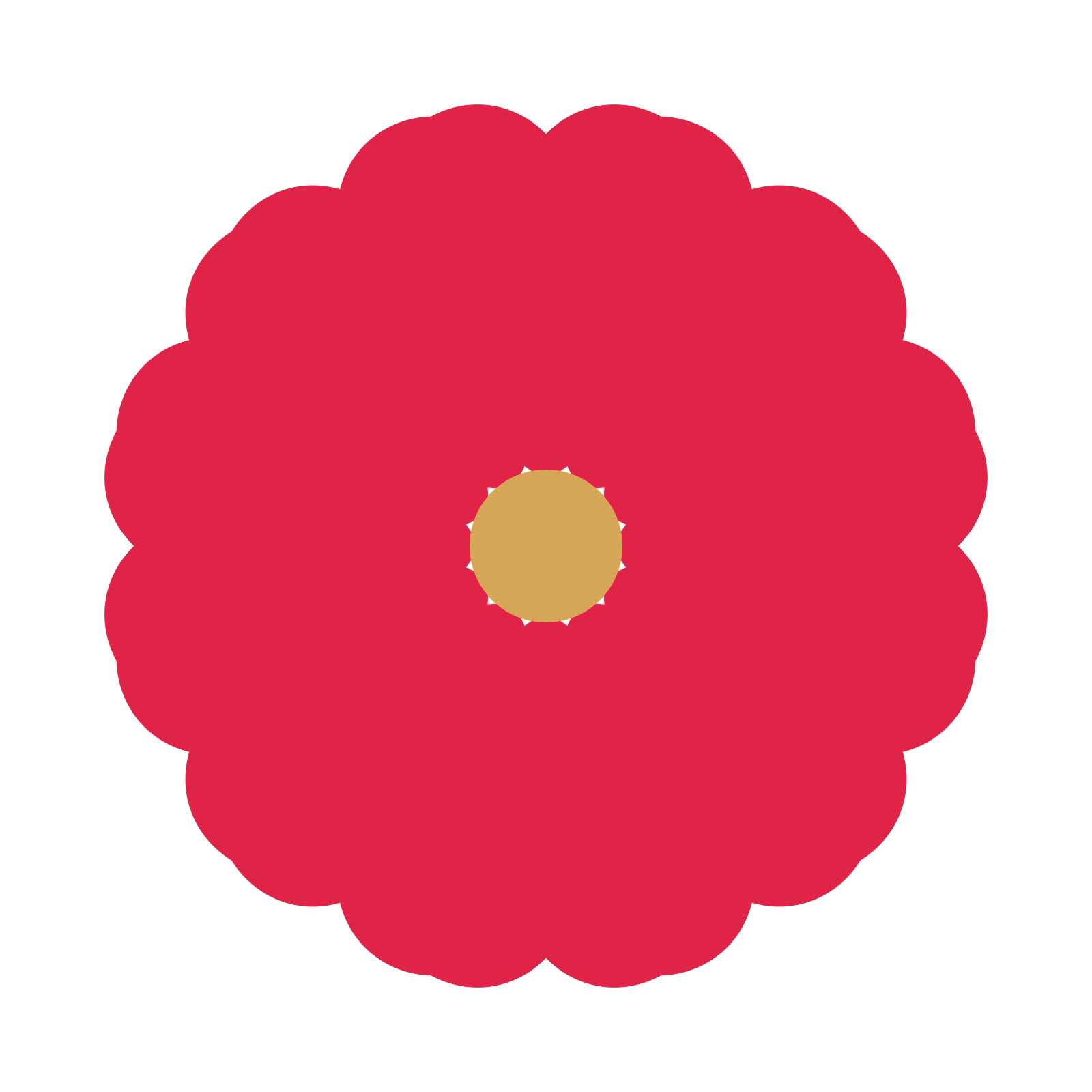 A 12-petal heart flower with a seed centre and a transparent background.