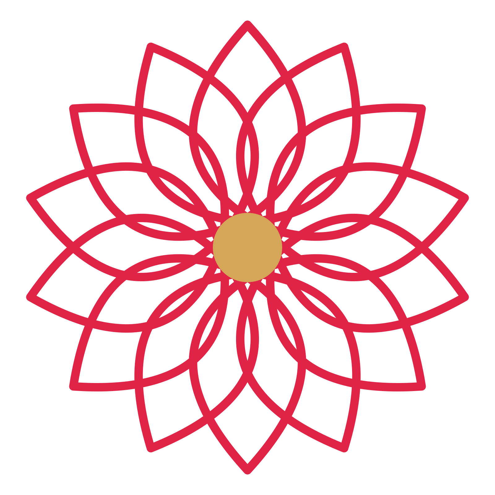 A 14-petal lily flower with a seed centre and a transparent background.