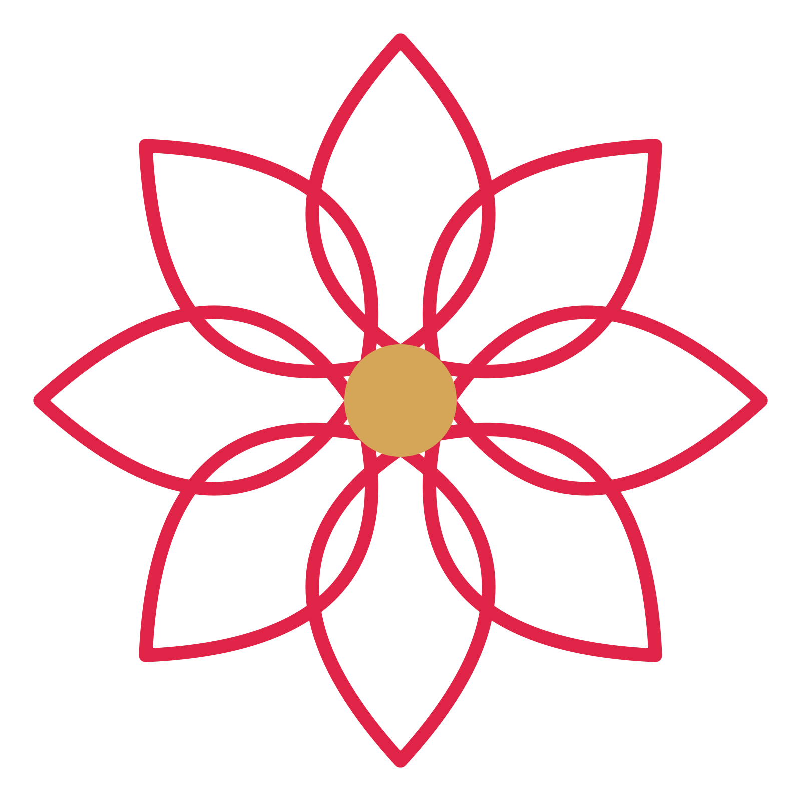 A 8-petal lily flower with a seed centre and a transparent background.