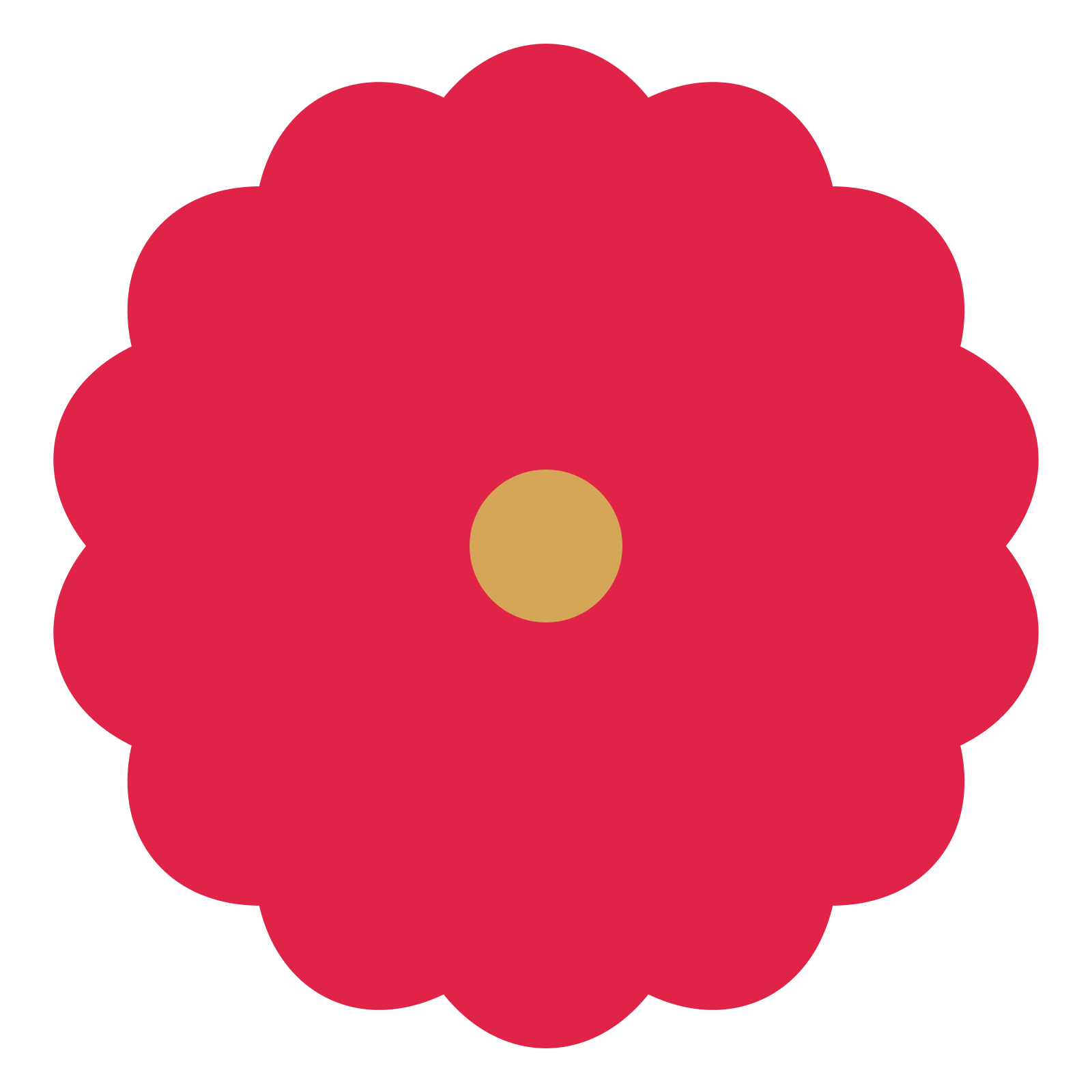A 14-petal lobed flower with a seed centre and a transparent background.