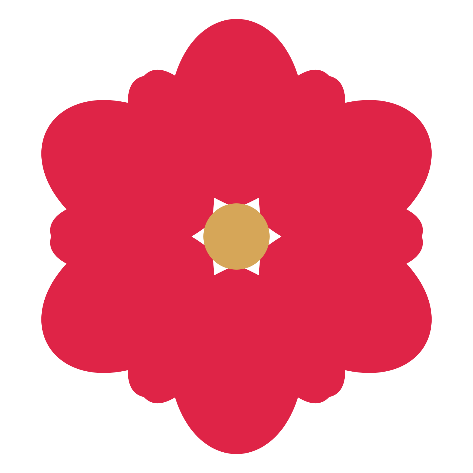 A 6-petal lobed flower with a seed centre and a transparent background.