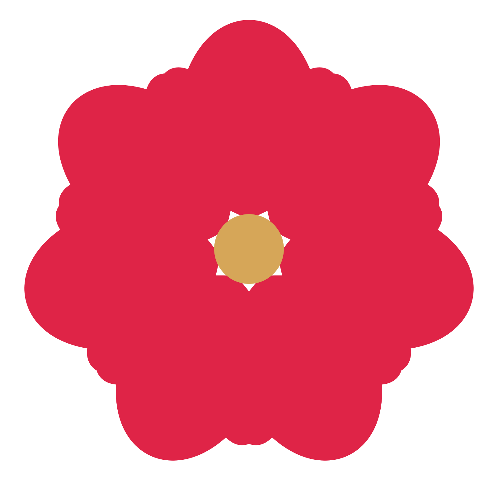A 7-petal lobed flower with a seed centre and a transparent background.