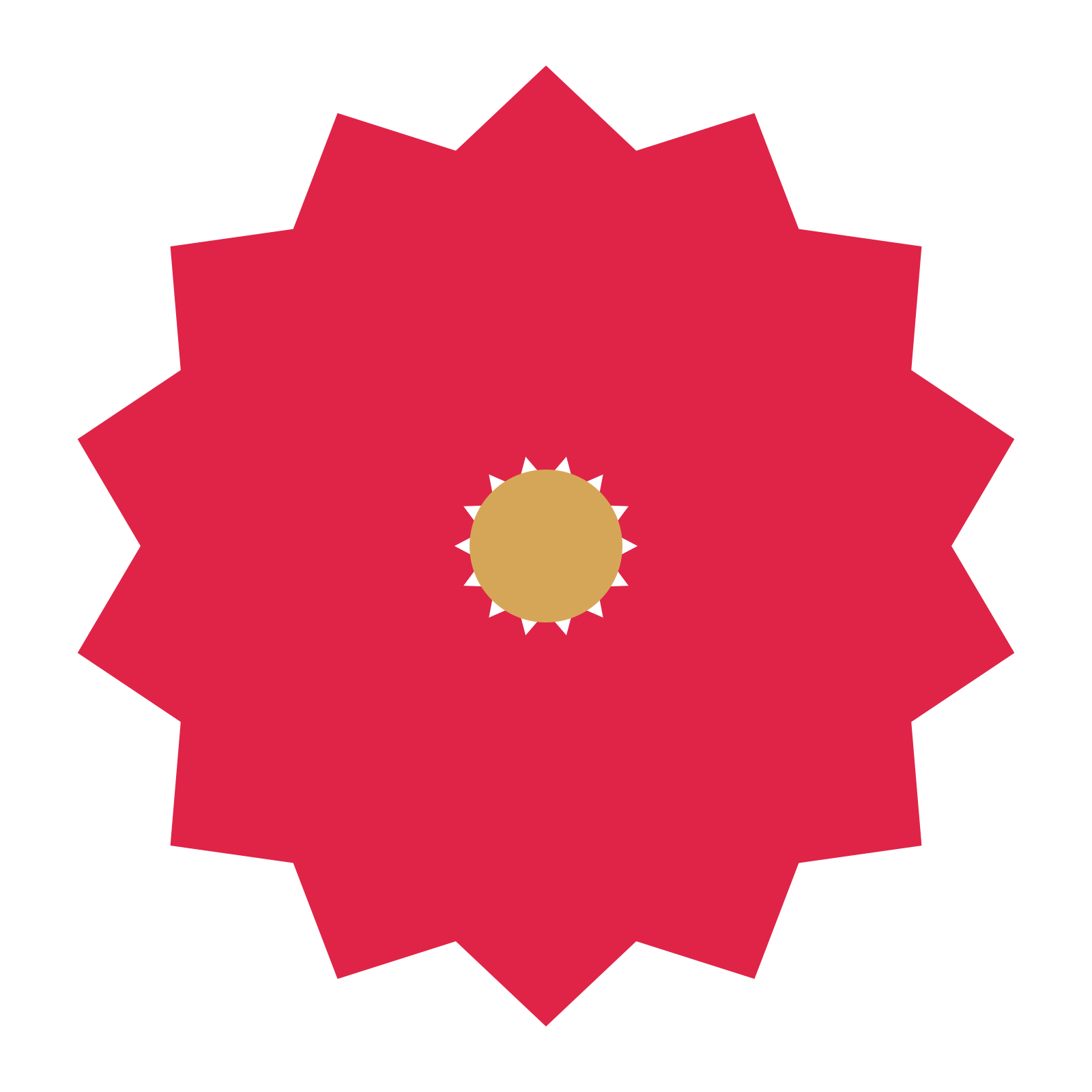 A 14-petal pointed flower with a seed centre and a transparent background.