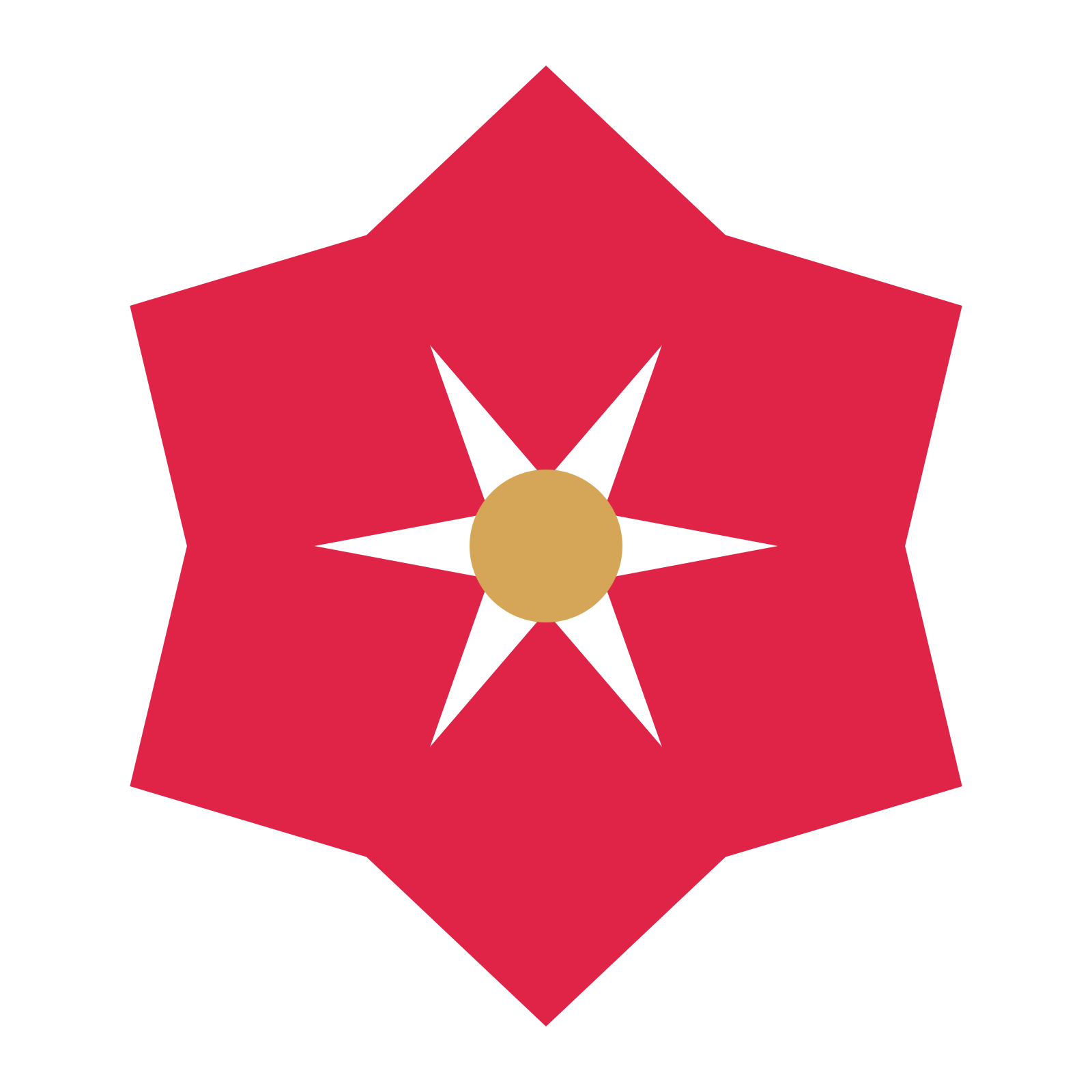 A 6-petal pointed flower with a seed centre and a transparent background.