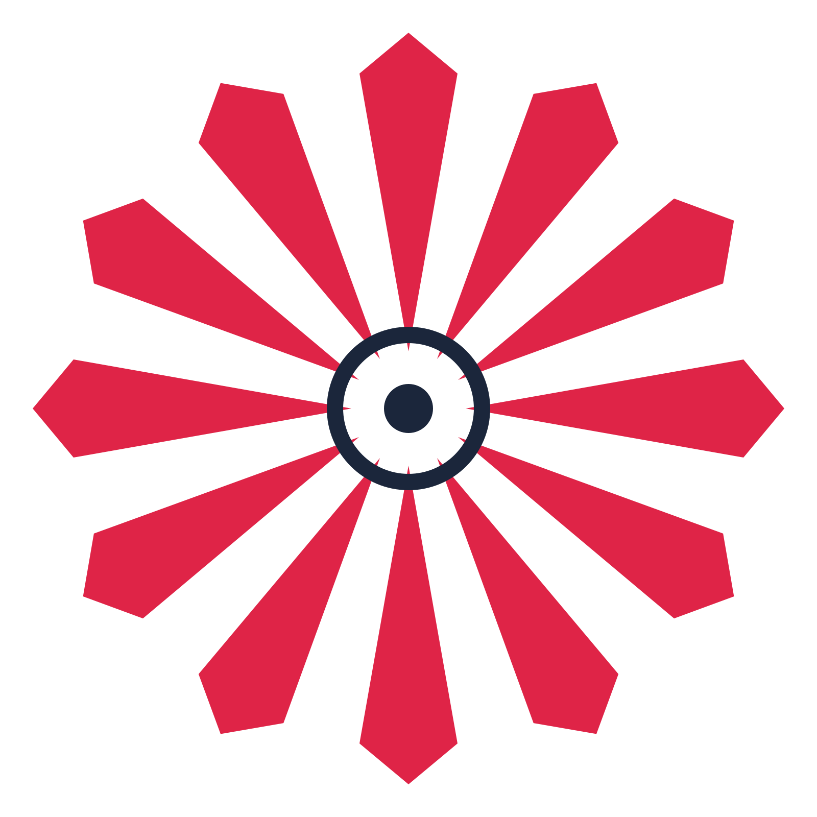 A 12-petal ray flower with a ring centre and a transparent background.