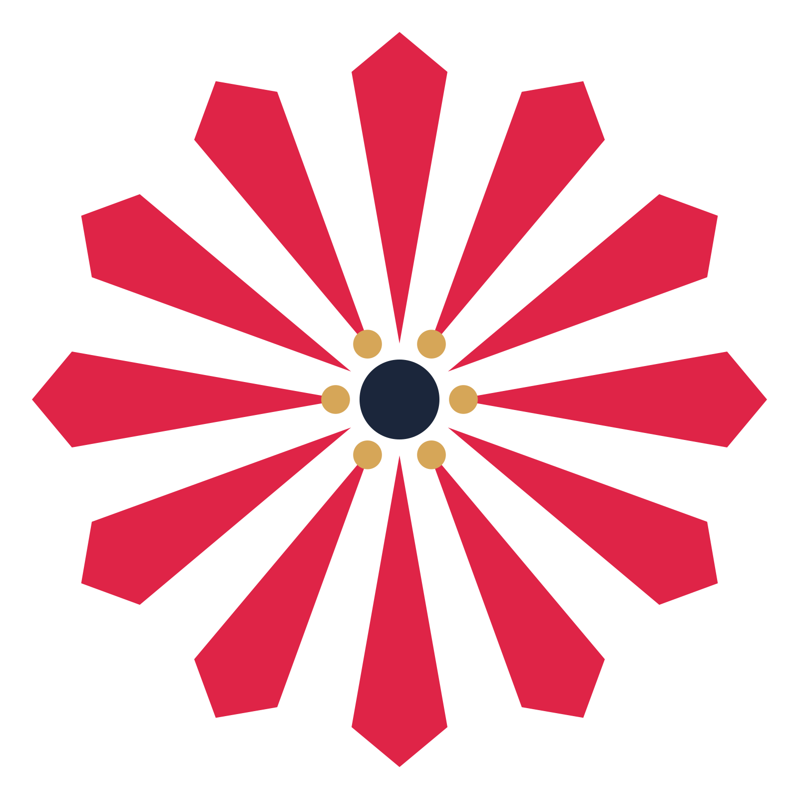 A 12-petal ray flower with a stamen centre and a transparent background.