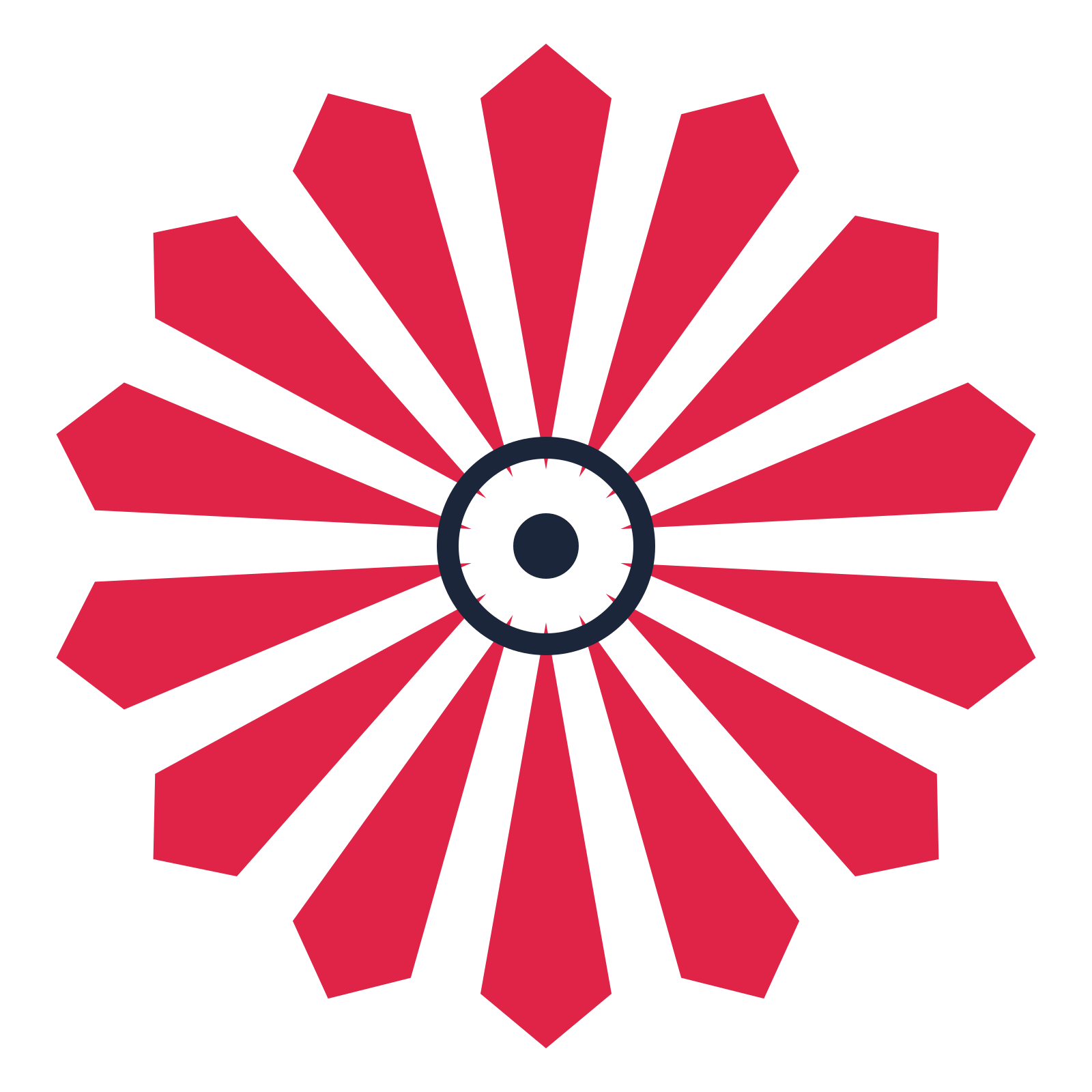 A 14-petal ray flower with a ring centre and a transparent background.