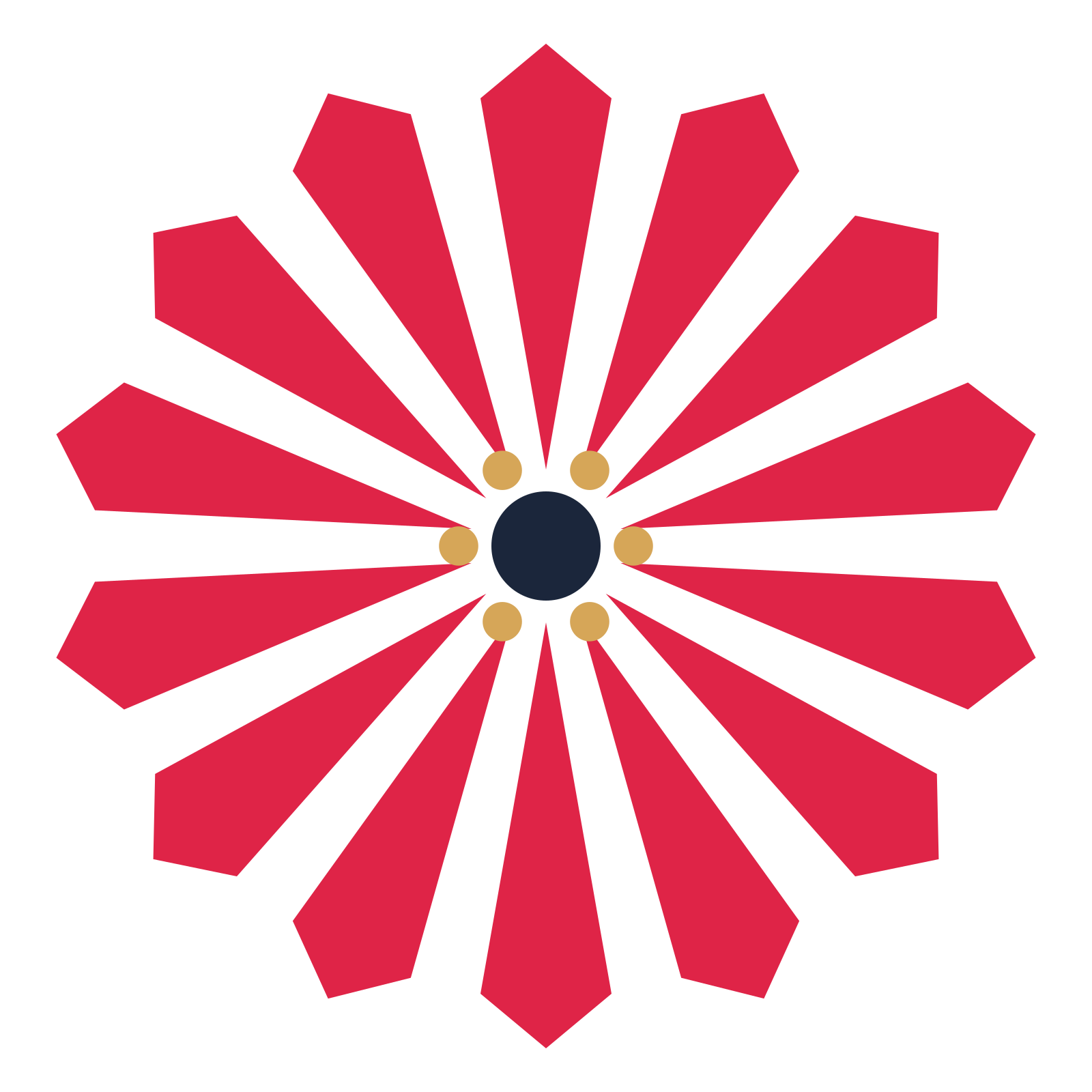 A 14-petal ray flower with a stamen centre and a transparent background.