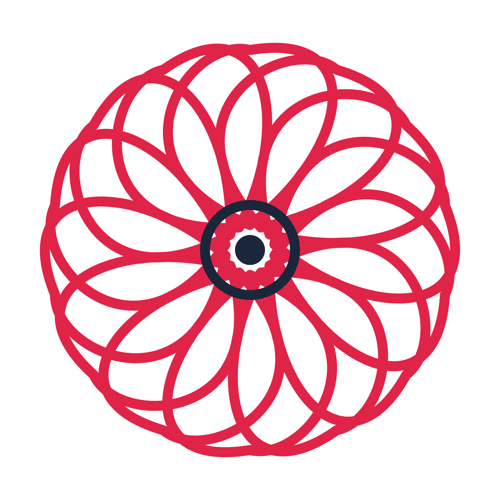 A 14-petal ribbon flower with a ring centre and a transparent background.