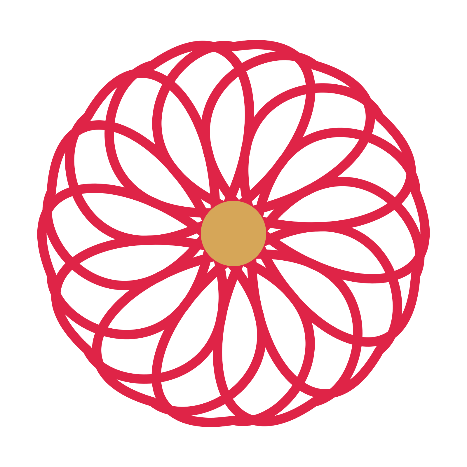 A 14-petal ribbon flower with a seed centre and a transparent background.