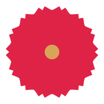 A 14-petal ruffled flower with a seed centre and a transparent background.