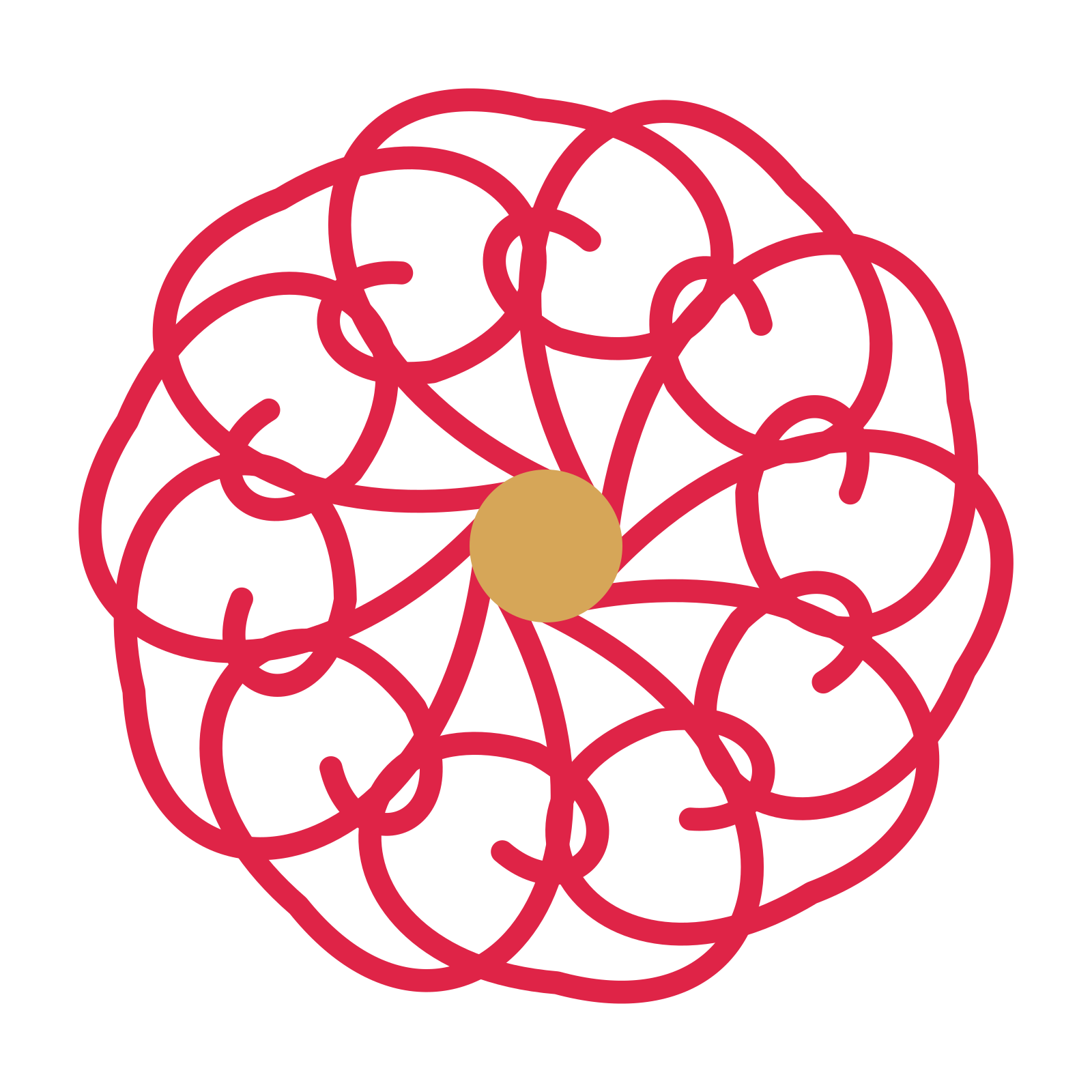 A 10-petal spiral flower with a seed centre and a transparent background.