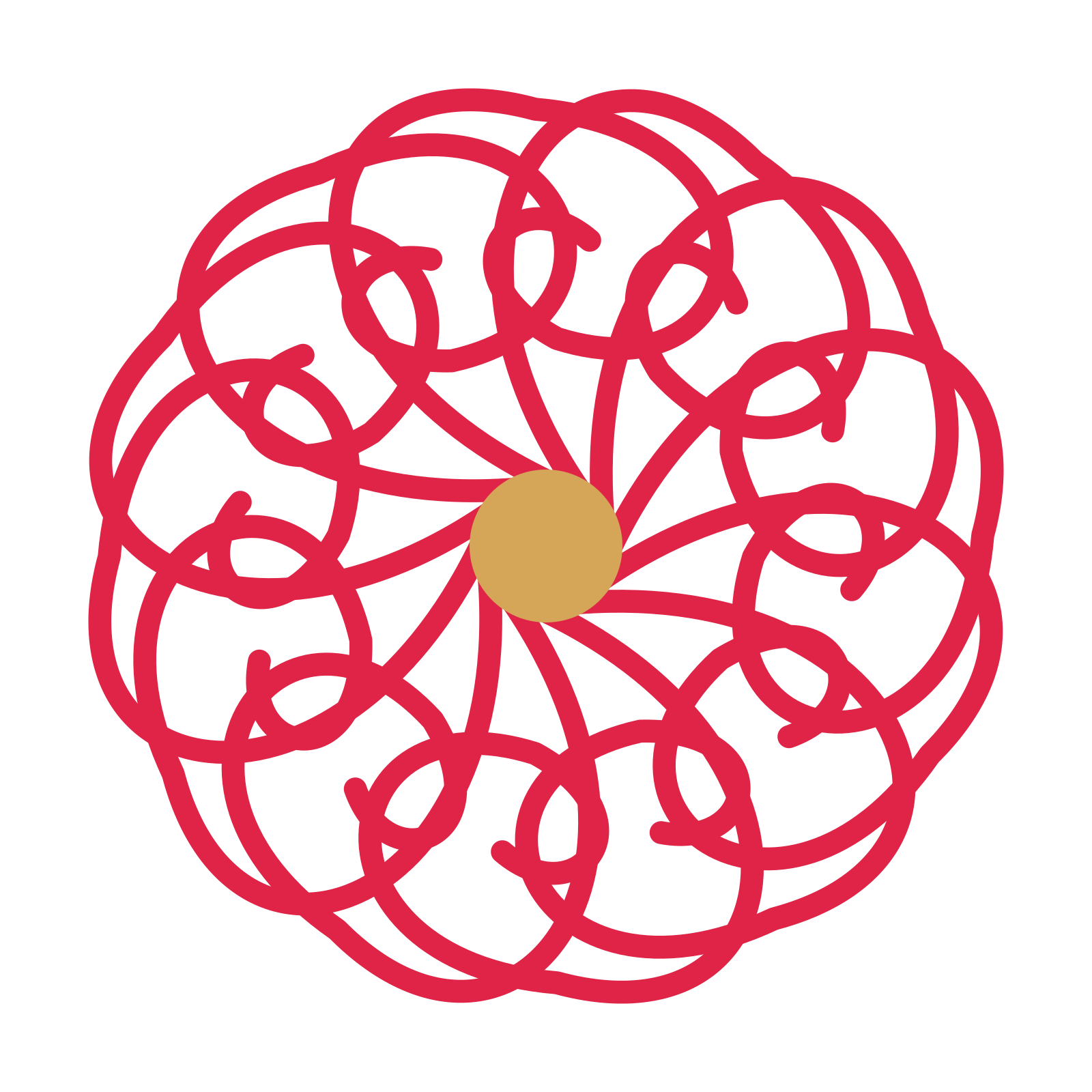 A 12-petal spiral flower with a seed centre and a transparent background.
