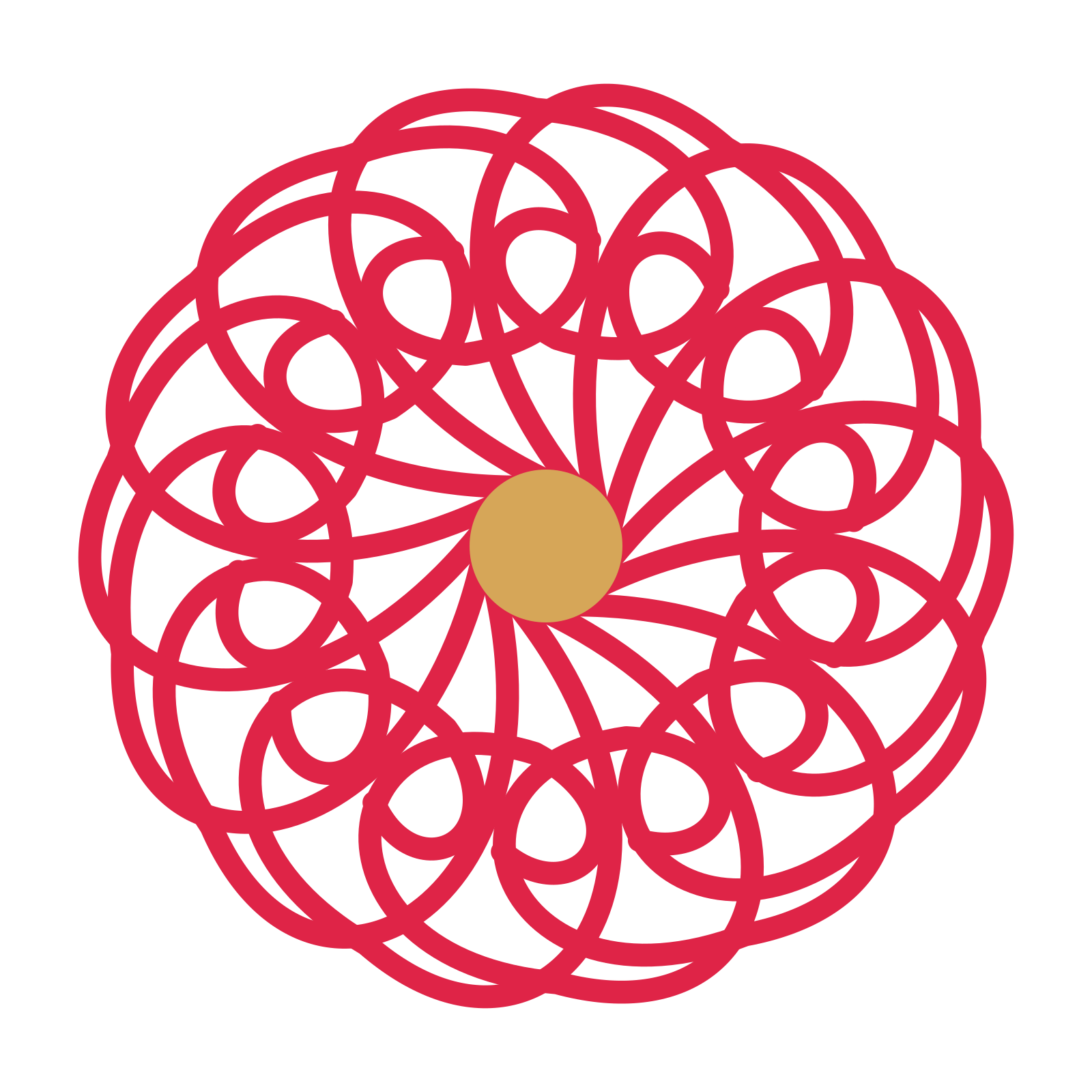 A 14-petal spiral flower with a seed centre and a transparent background.
