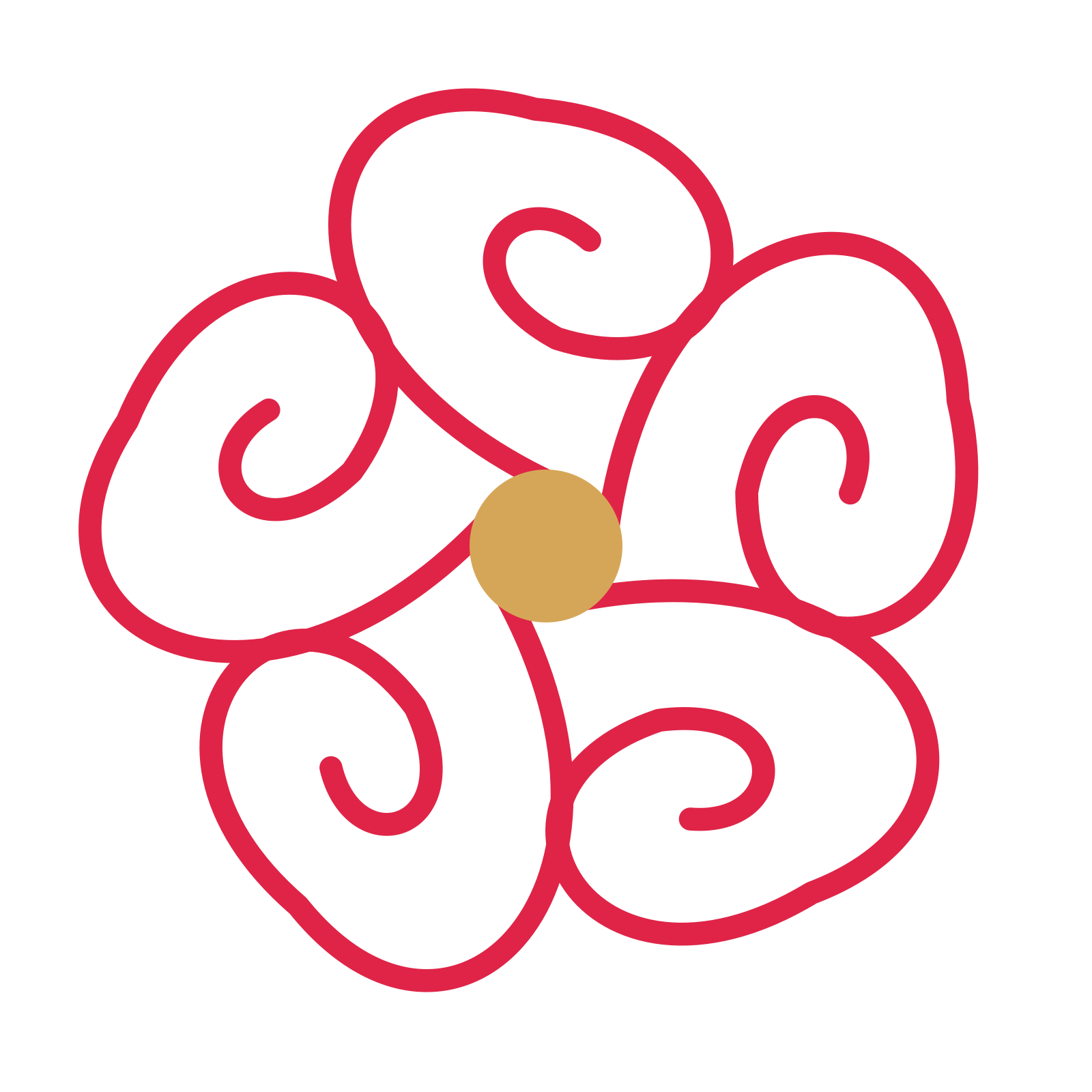A 5-petal spiral flower with a seed centre and a transparent background.