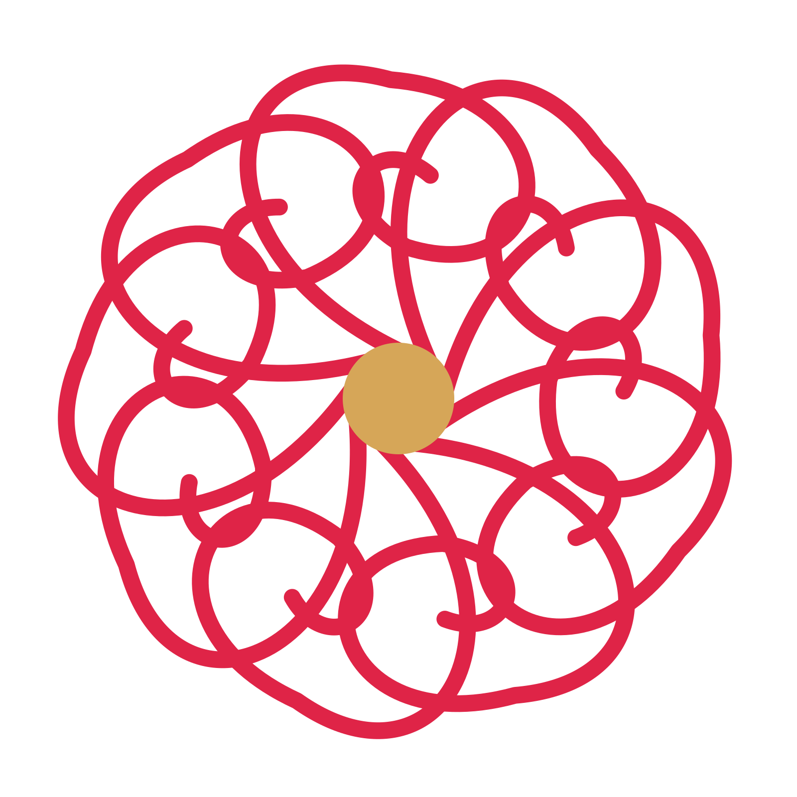 A 9-petal spiral flower with a seed centre and a transparent background.