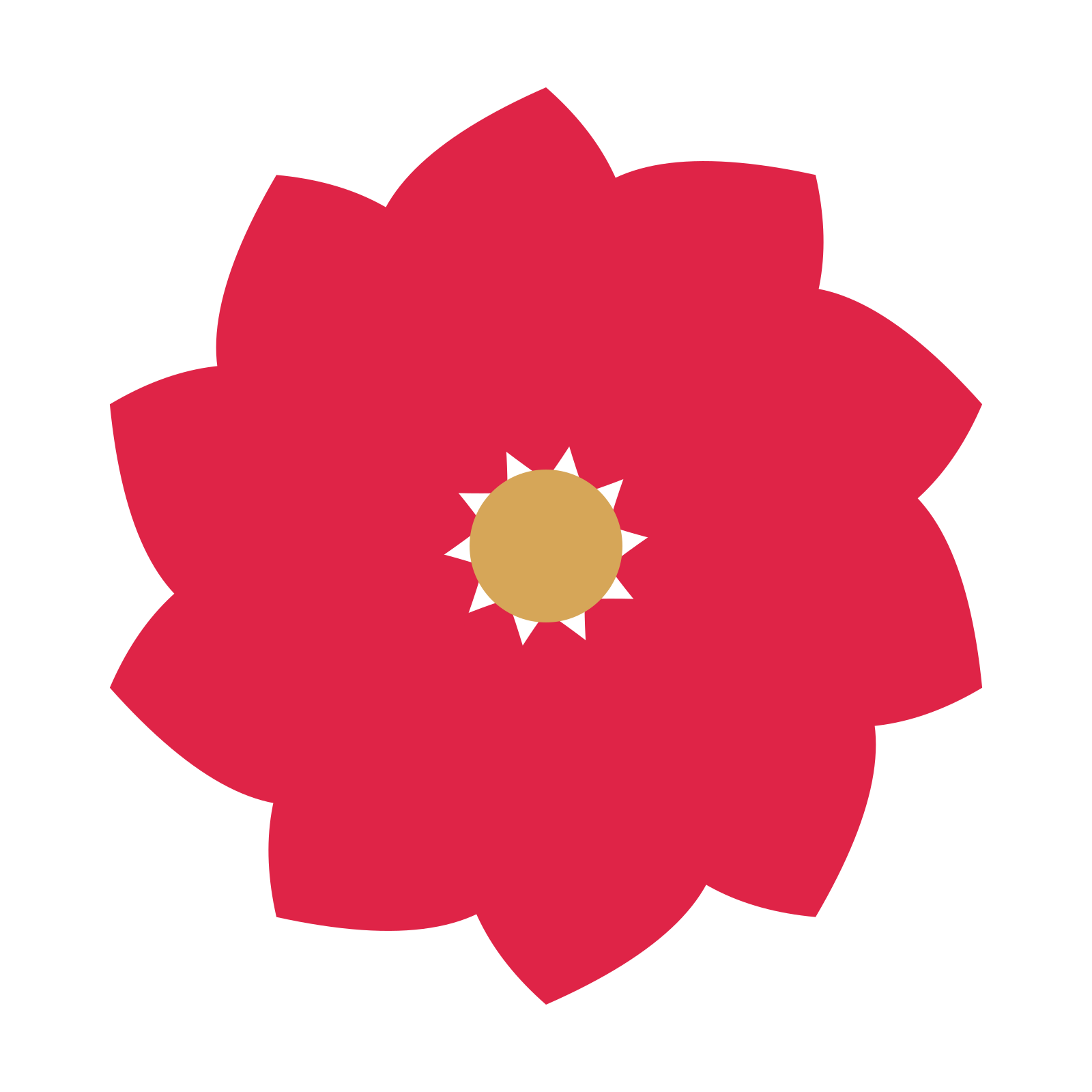 A 10-petal teardrop flower with a seed centre and a transparent background.