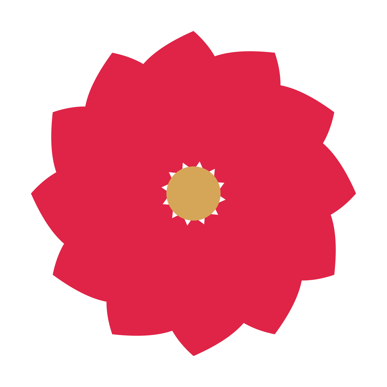 A 12-petal teardrop flower with a seed centre and a transparent background.