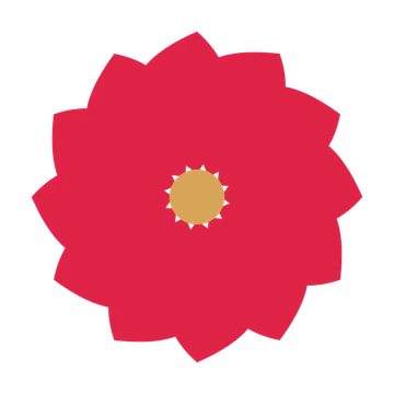 A 12-petal teardrop flower with a seed centre and a transparent background.