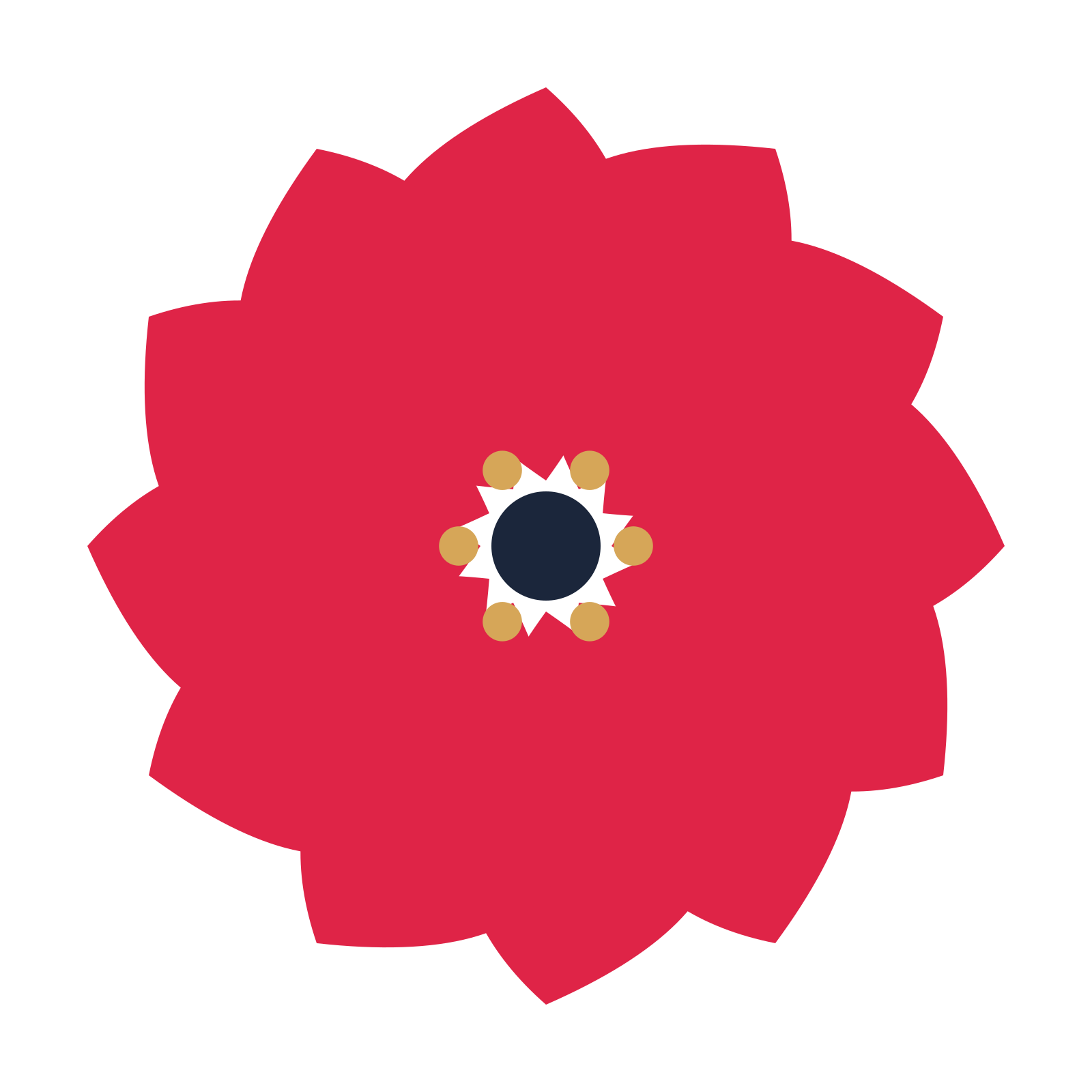 A 12-petal teardrop flower with a stamen centre and a transparent background.