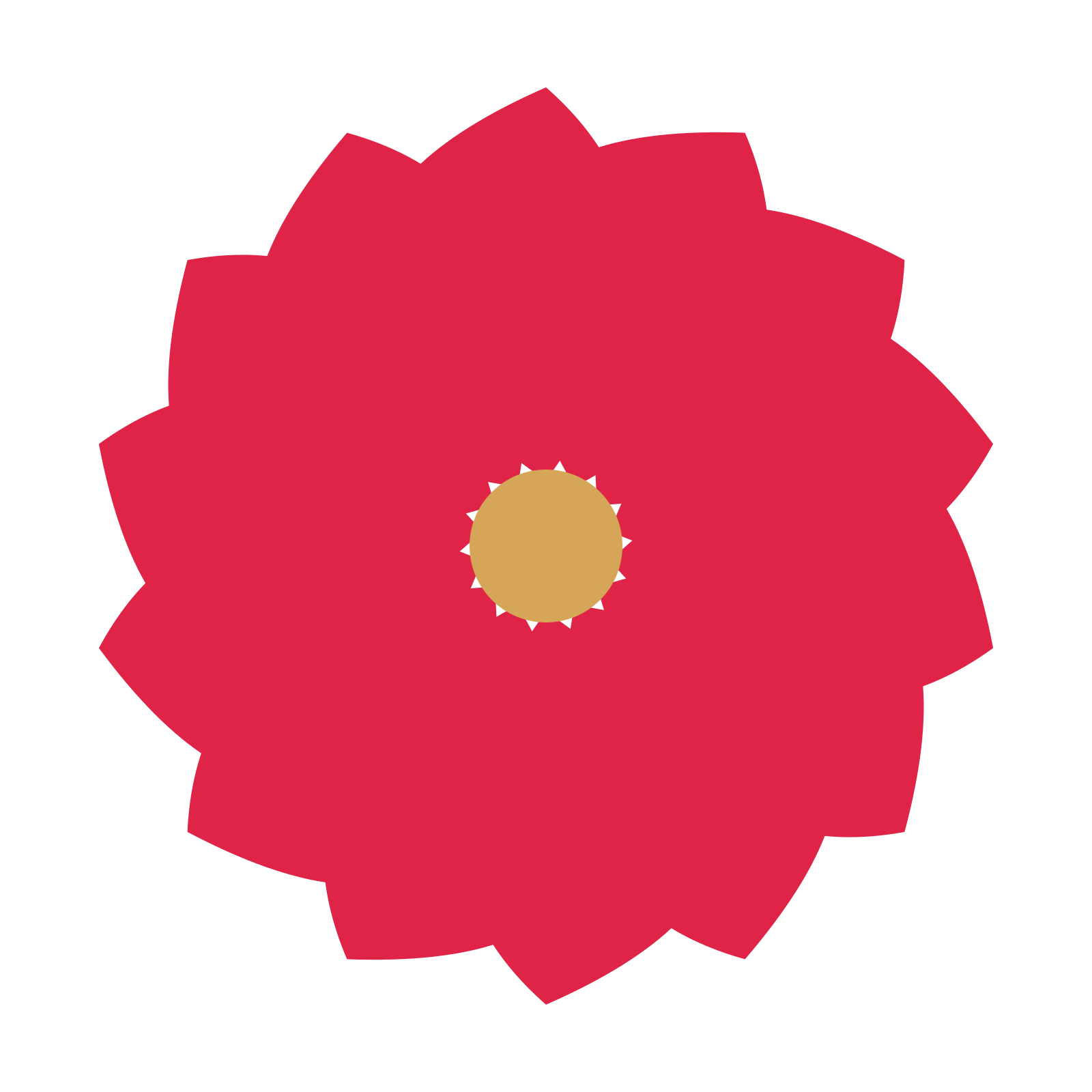 A 14-petal teardrop flower with a seed centre and a transparent background.