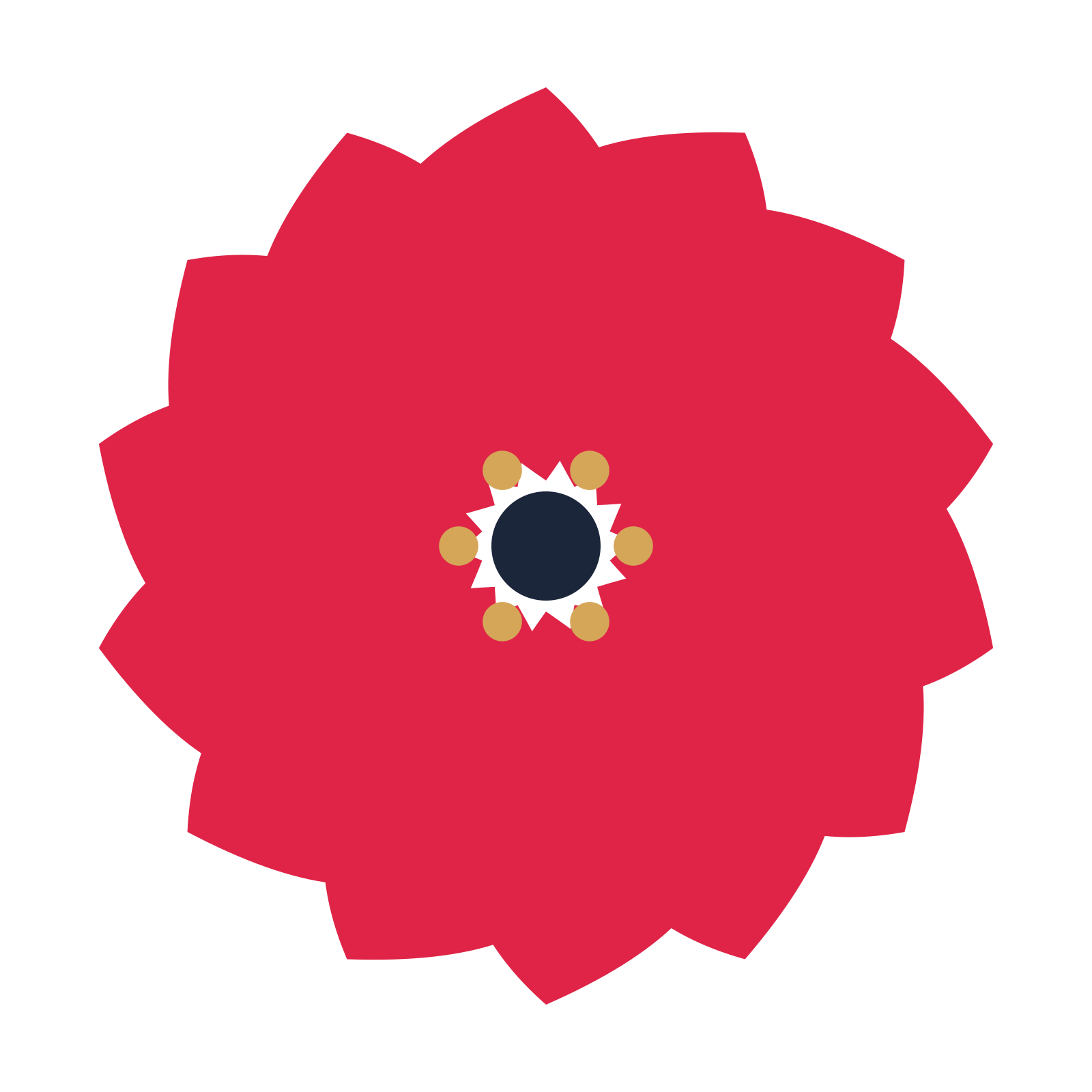 A 14-petal teardrop flower with a stamen centre and a transparent background.