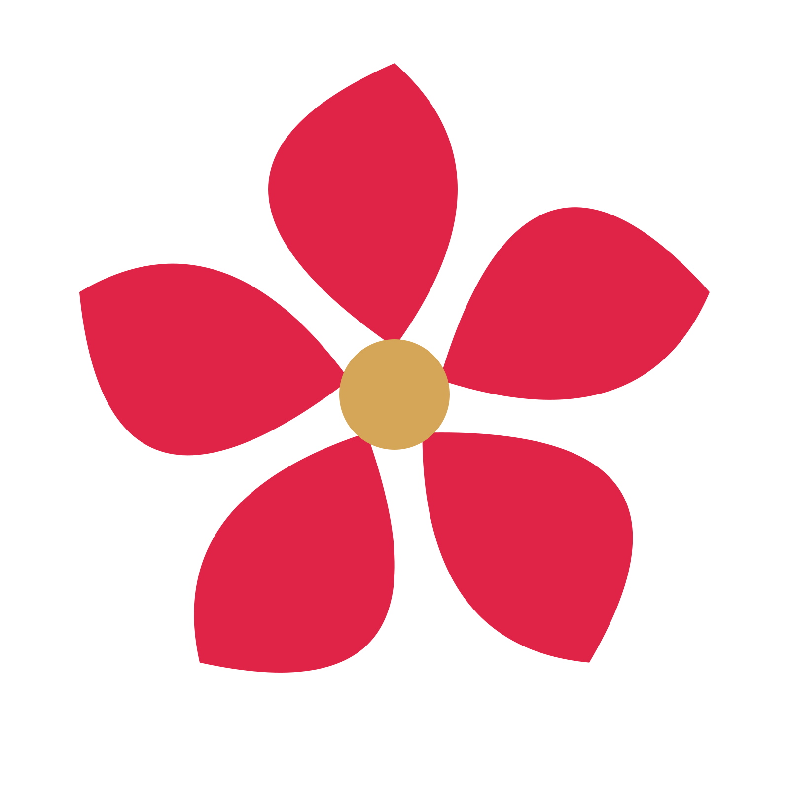A 5-petal teardrop flower with a seed centre and a transparent background.