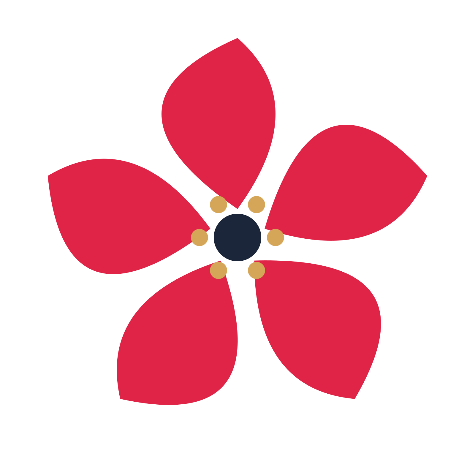 A 5-petal teardrop flower with a stamen centre and a transparent background.