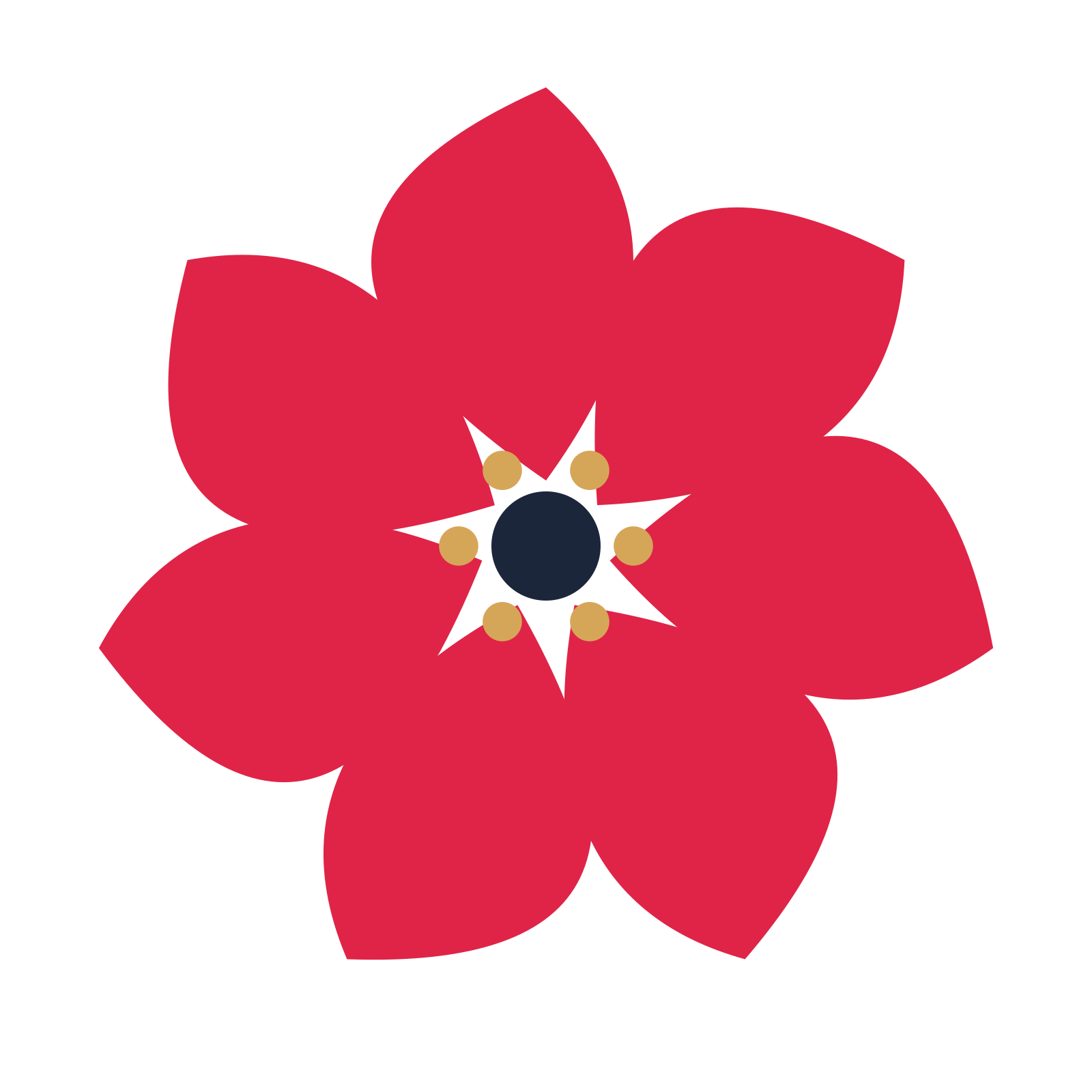 A 7-petal teardrop flower with a stamen centre and a transparent background.