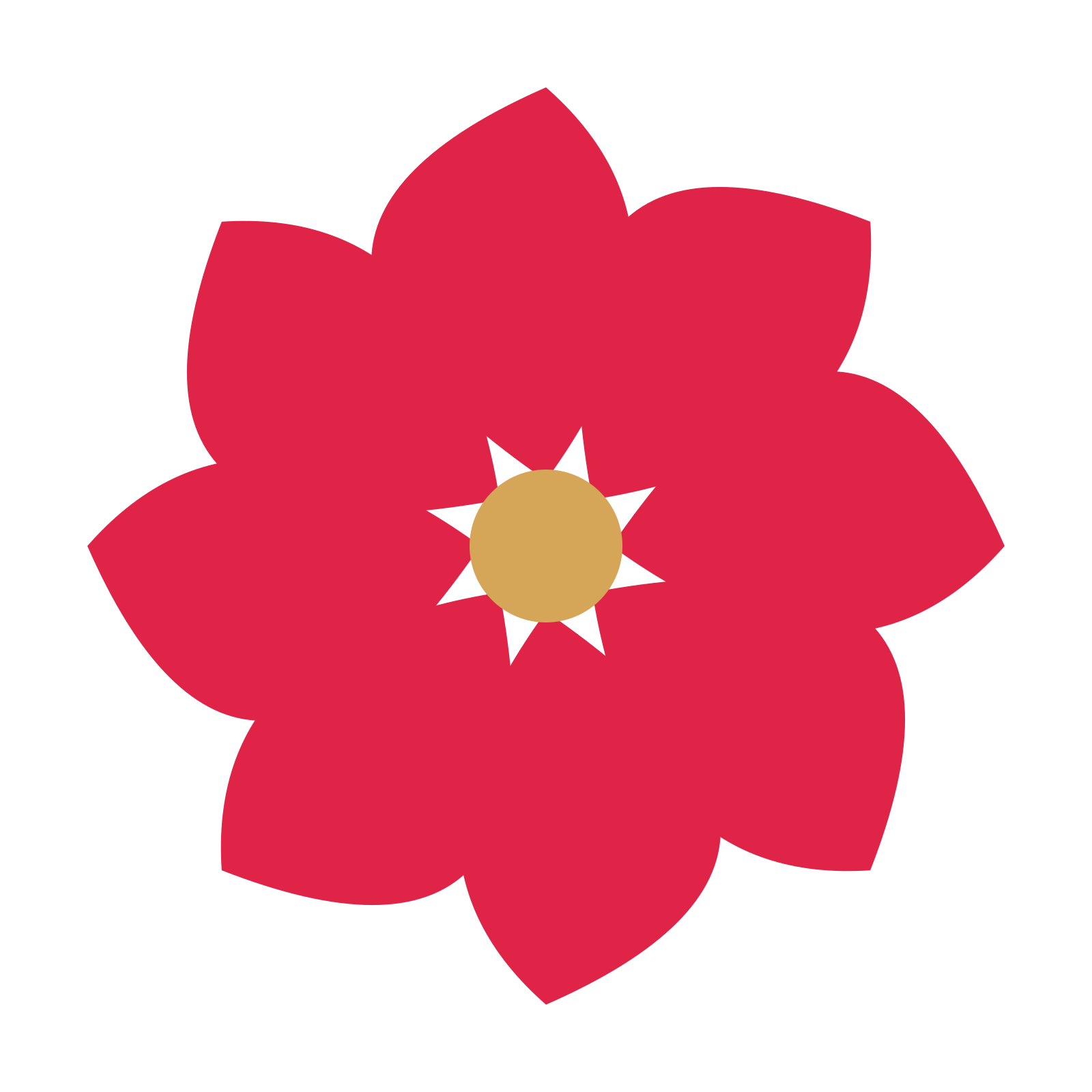 A 8-petal teardrop flower with a seed centre and a transparent background.