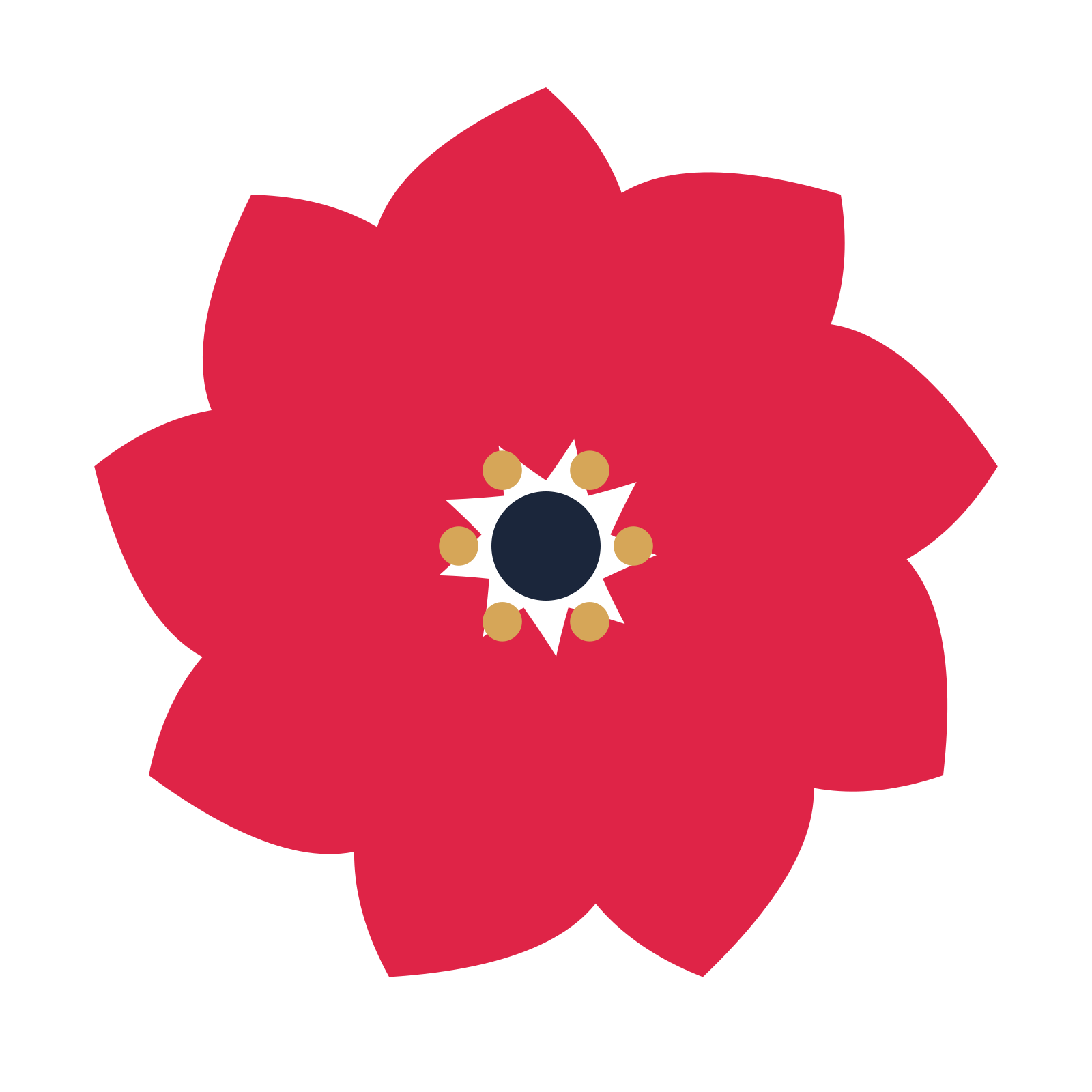 A 9-petal teardrop flower with a stamen centre and a transparent background.