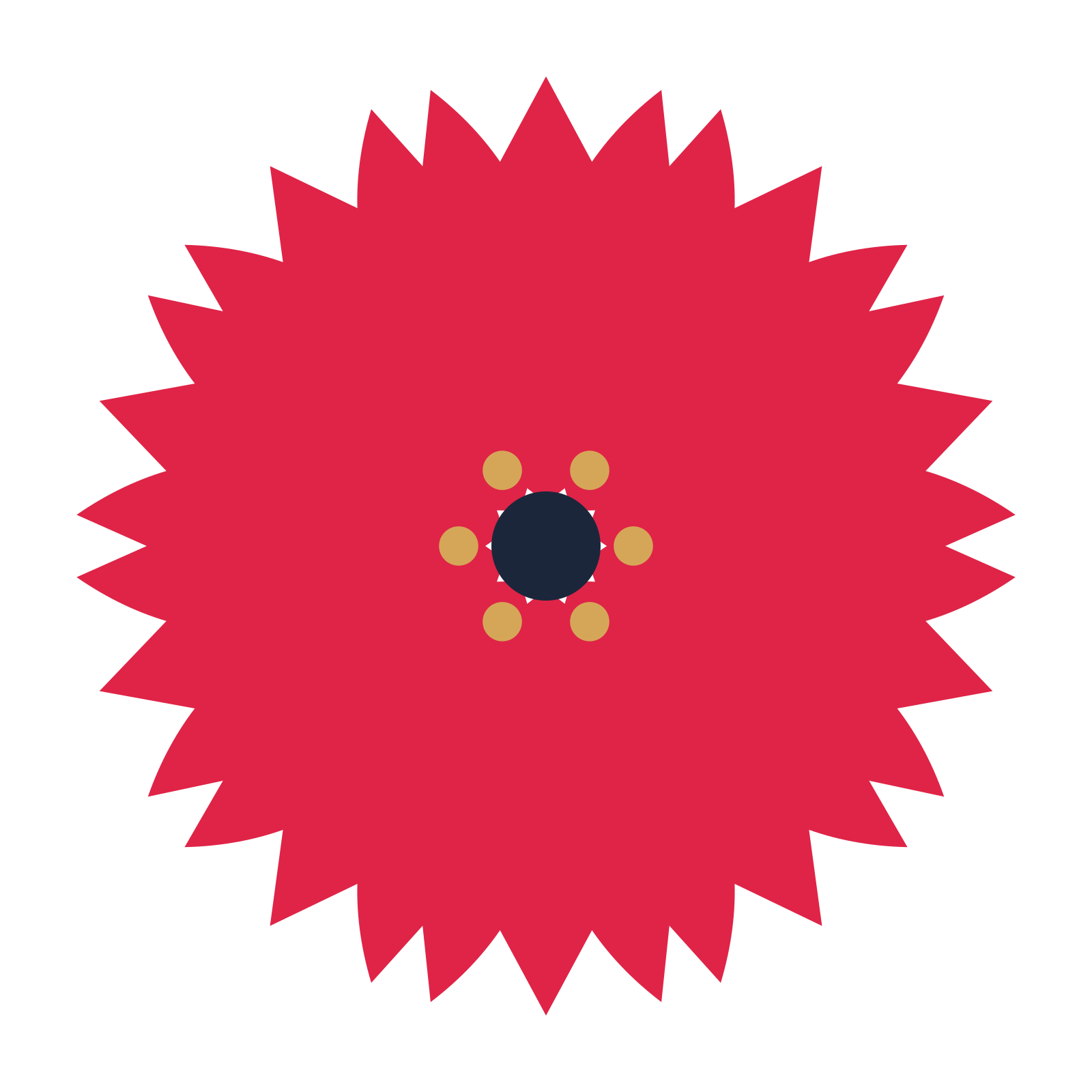 A 10-petal tulip flower with a stamen centre and a transparent background.