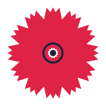 A 12-petal tulip flower with a ring centre and a transparent background.