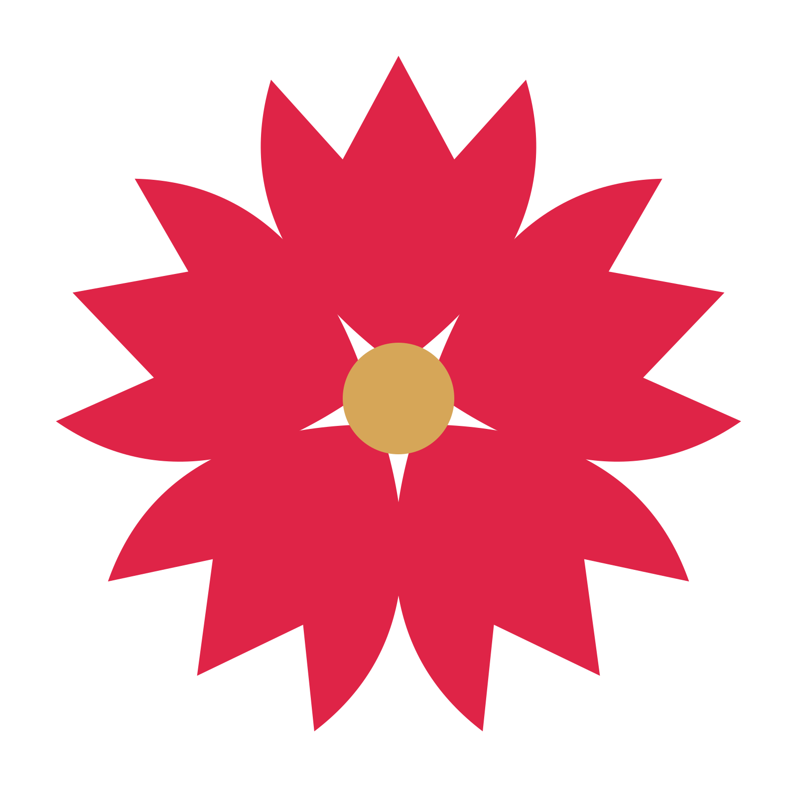 A 5-petal tulip flower with a seed centre and a transparent background.