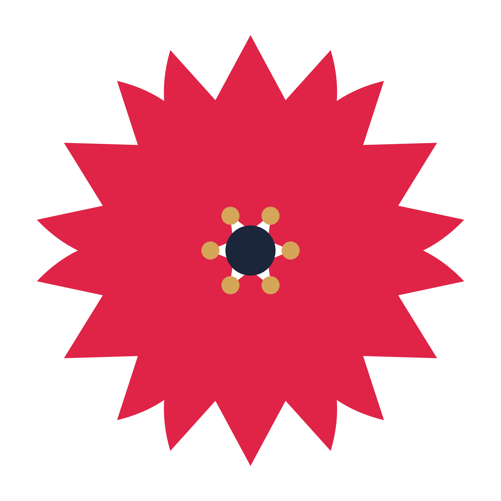 A 6-petal tulip flower with a stamen centre and a transparent background.