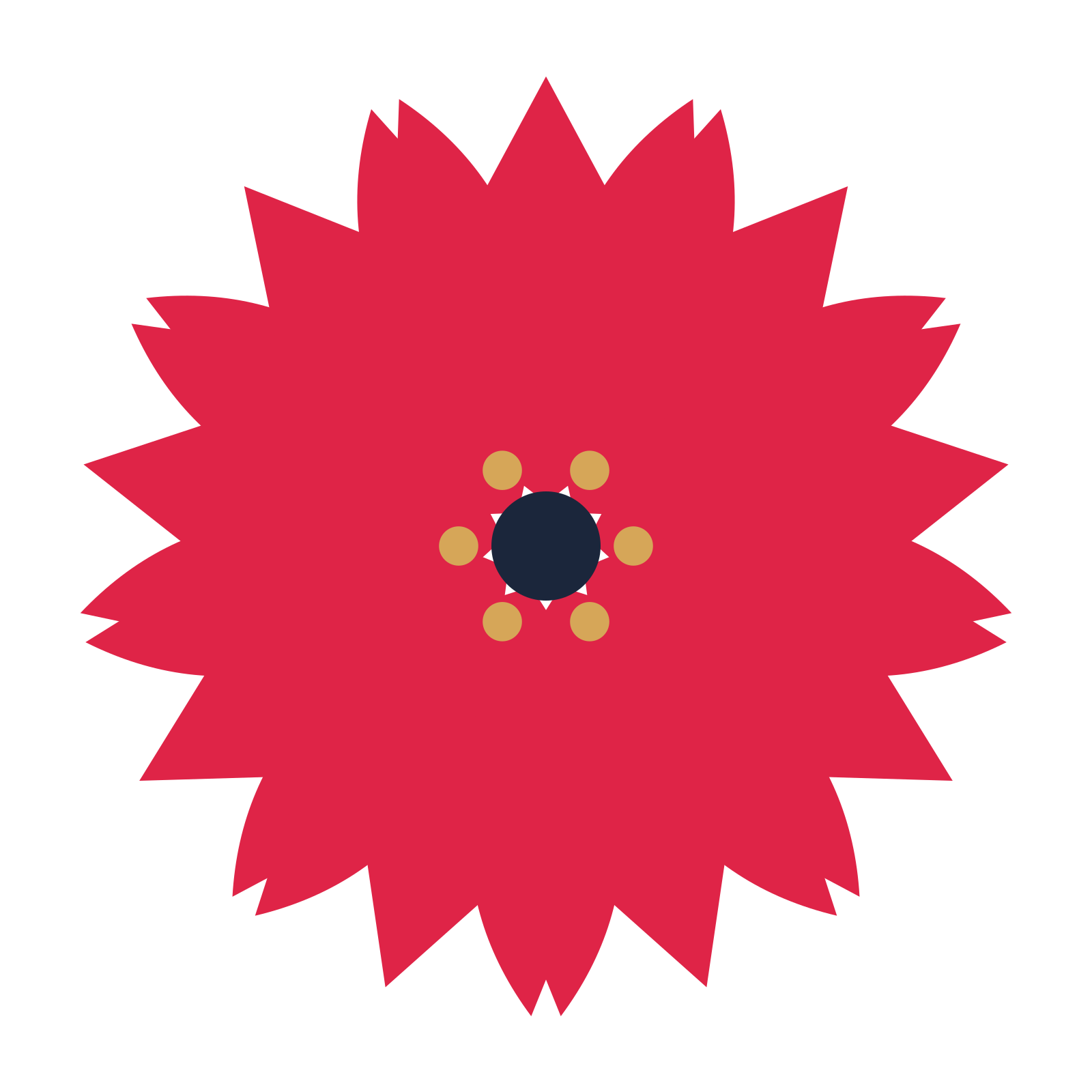 A 9-petal tulip flower with a stamen centre and a transparent background.