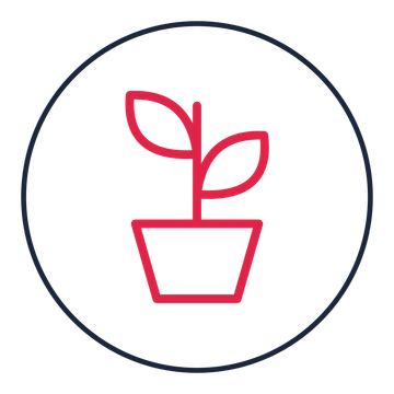 Indoor plant pot drawn as a medallion icon with clean rounded lines.