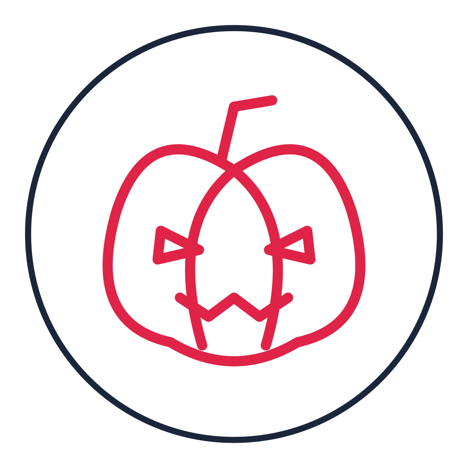 Halloween pumpkin drawn as a medallion icon with clean rounded lines.