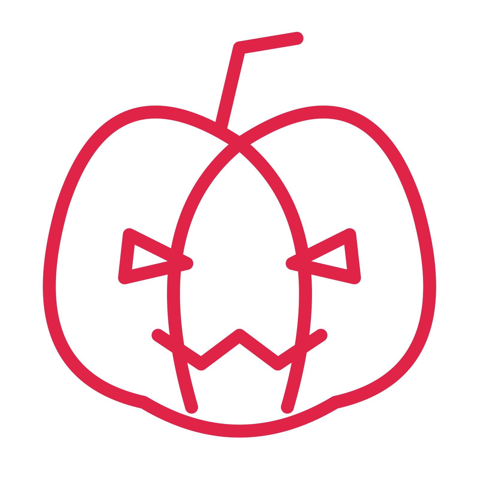 Halloween pumpkin drawn as an outline icon with clean rounded lines.