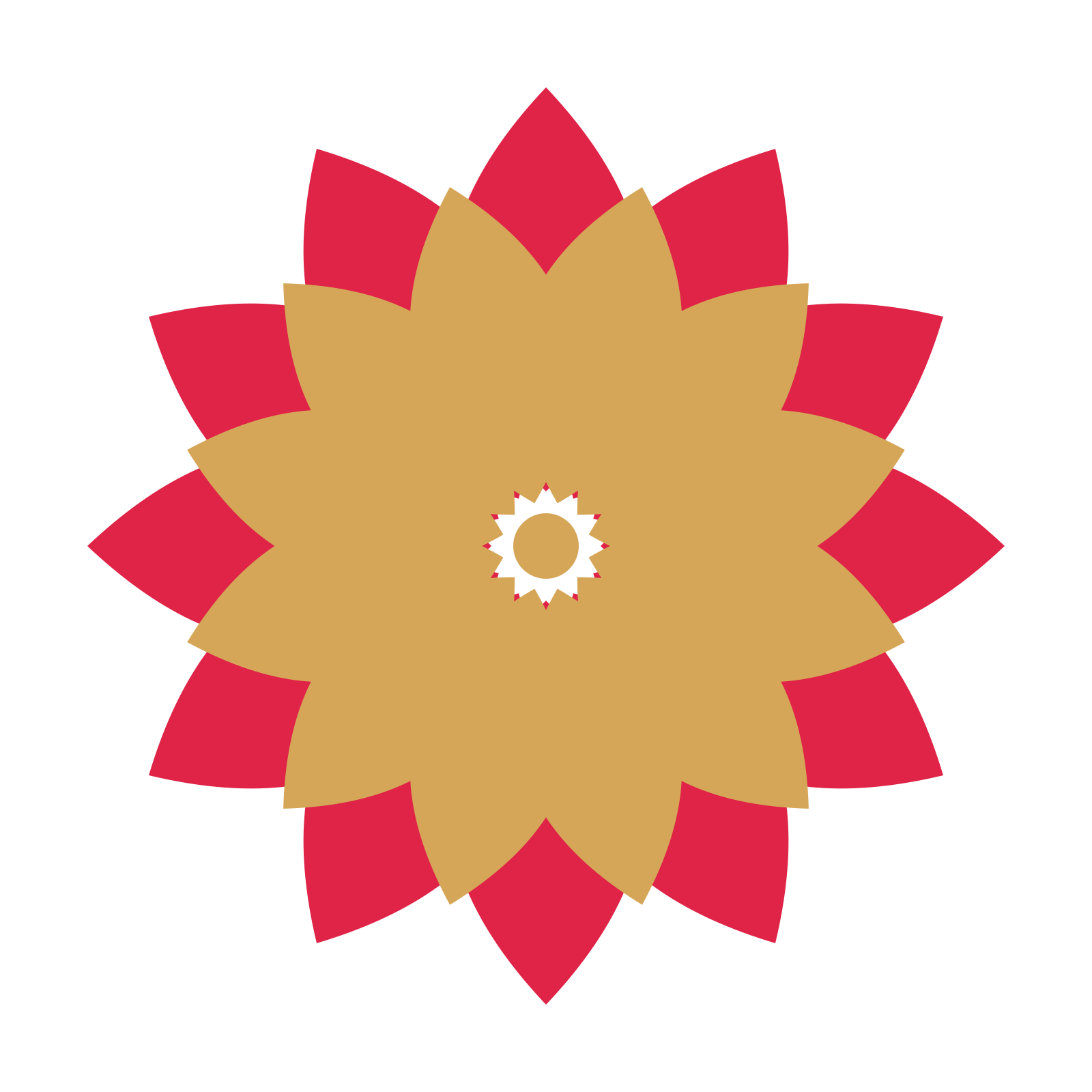 A layered almond rosette with 12-fold radial symmetry and 2 alternating rings of petals.