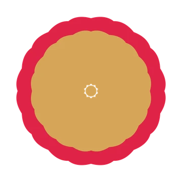 A layered cosmos rosette with 10-fold radial symmetry and 2 alternating rings of petals.