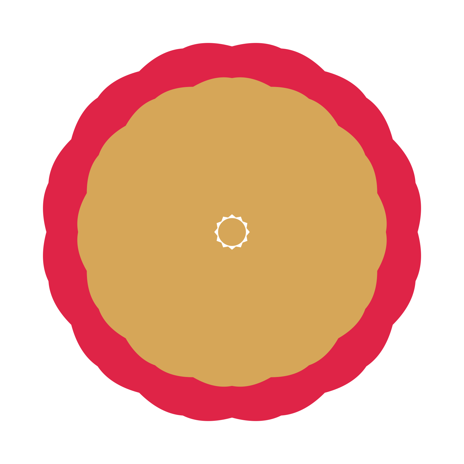 A layered cosmos rosette with 12-fold radial symmetry and 2 alternating rings of petals.