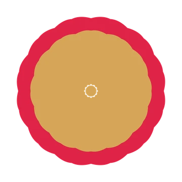 A layered cosmos rosette with 12-fold radial symmetry and 2 alternating rings of petals.